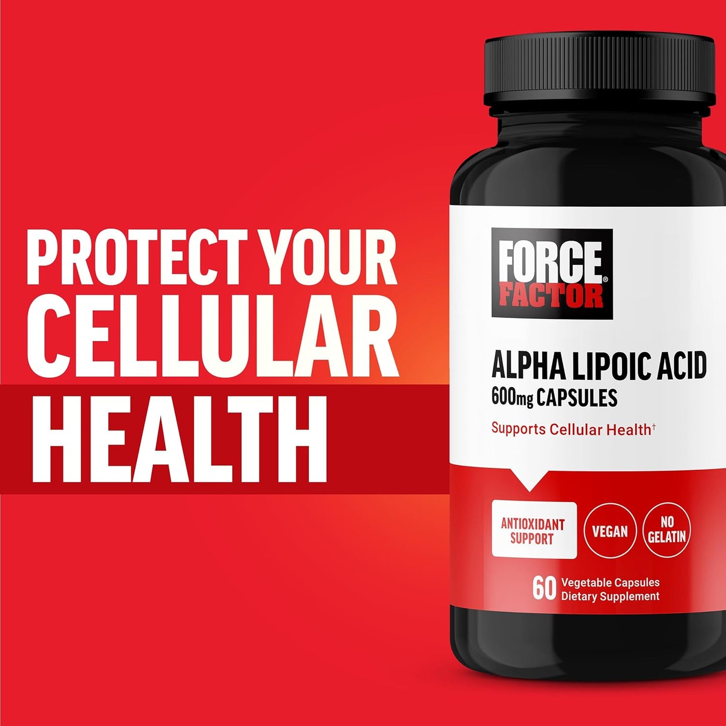 600mg Alpha Lipoic Acid Capsules for Cardiovascular Support & Cellular Health – Vegan Antioxidant Supplement (60 Capsules)