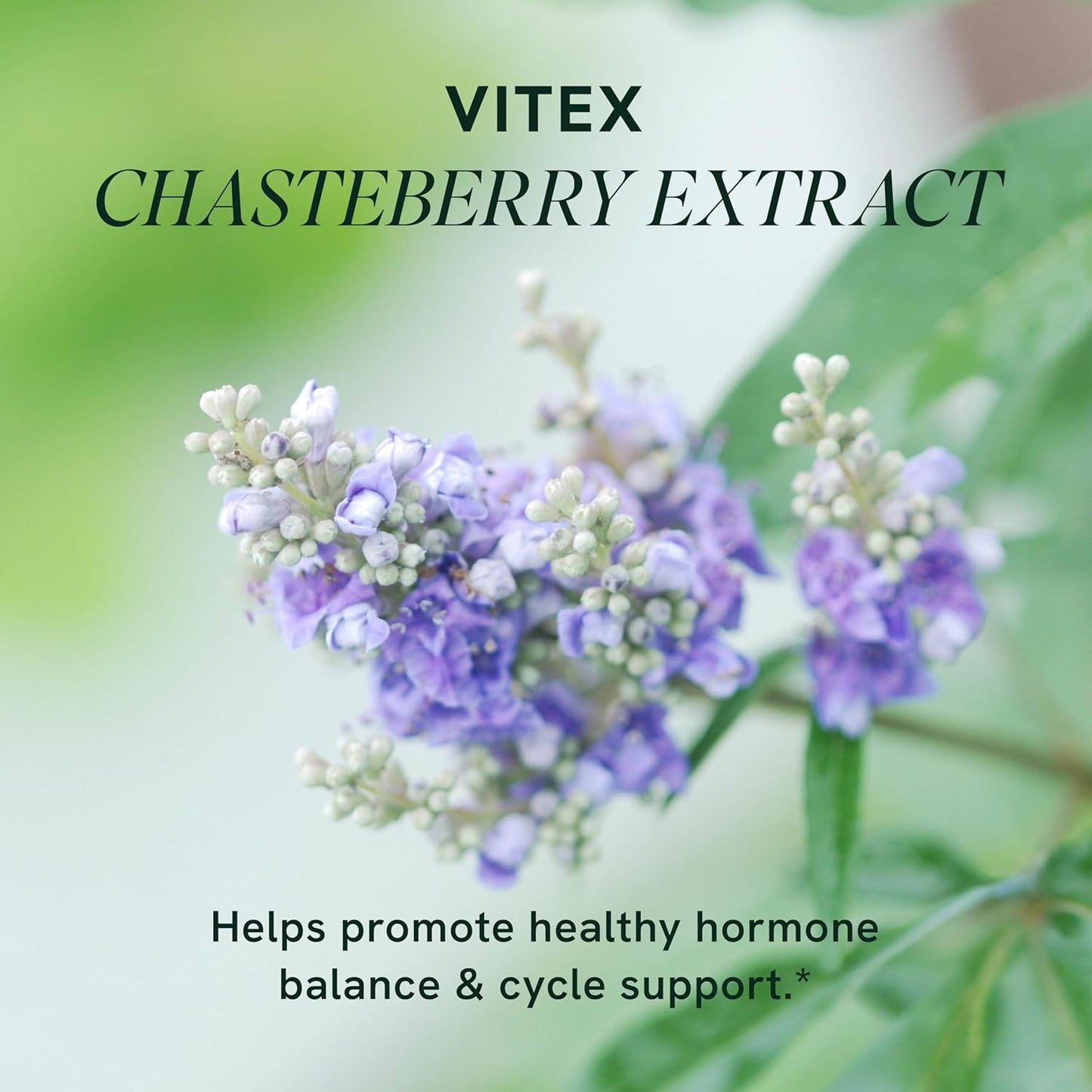 600mg Chasteberry Supplement for Women's Hormone Balance, Menopause & Acne - 90 Capsules