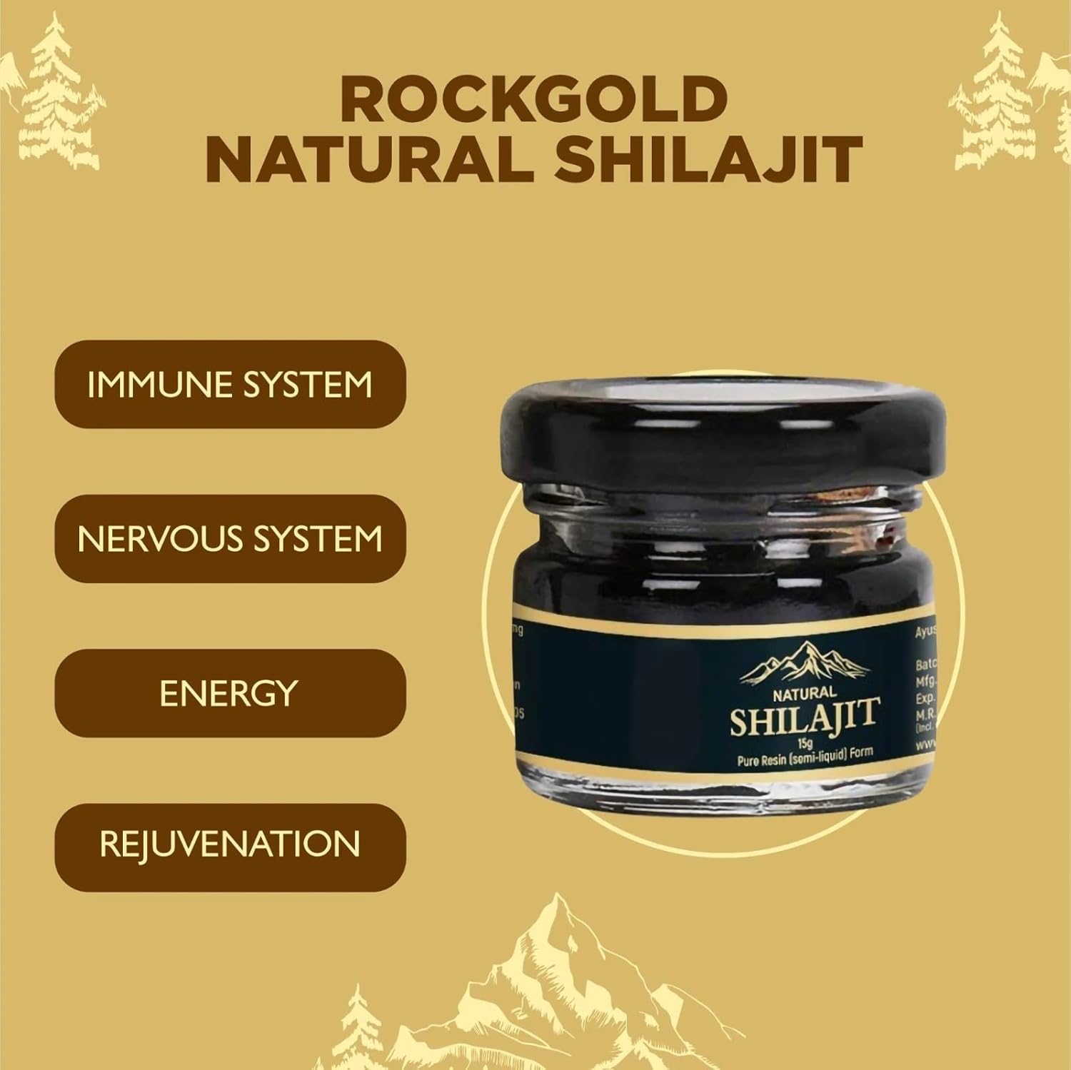 600mg ELVPOTEC Shilajit Pure Himalayan Resin with 85+ Trace Minerals - Natural Energy & Immune Support Supplement - 30g (1 Pack)