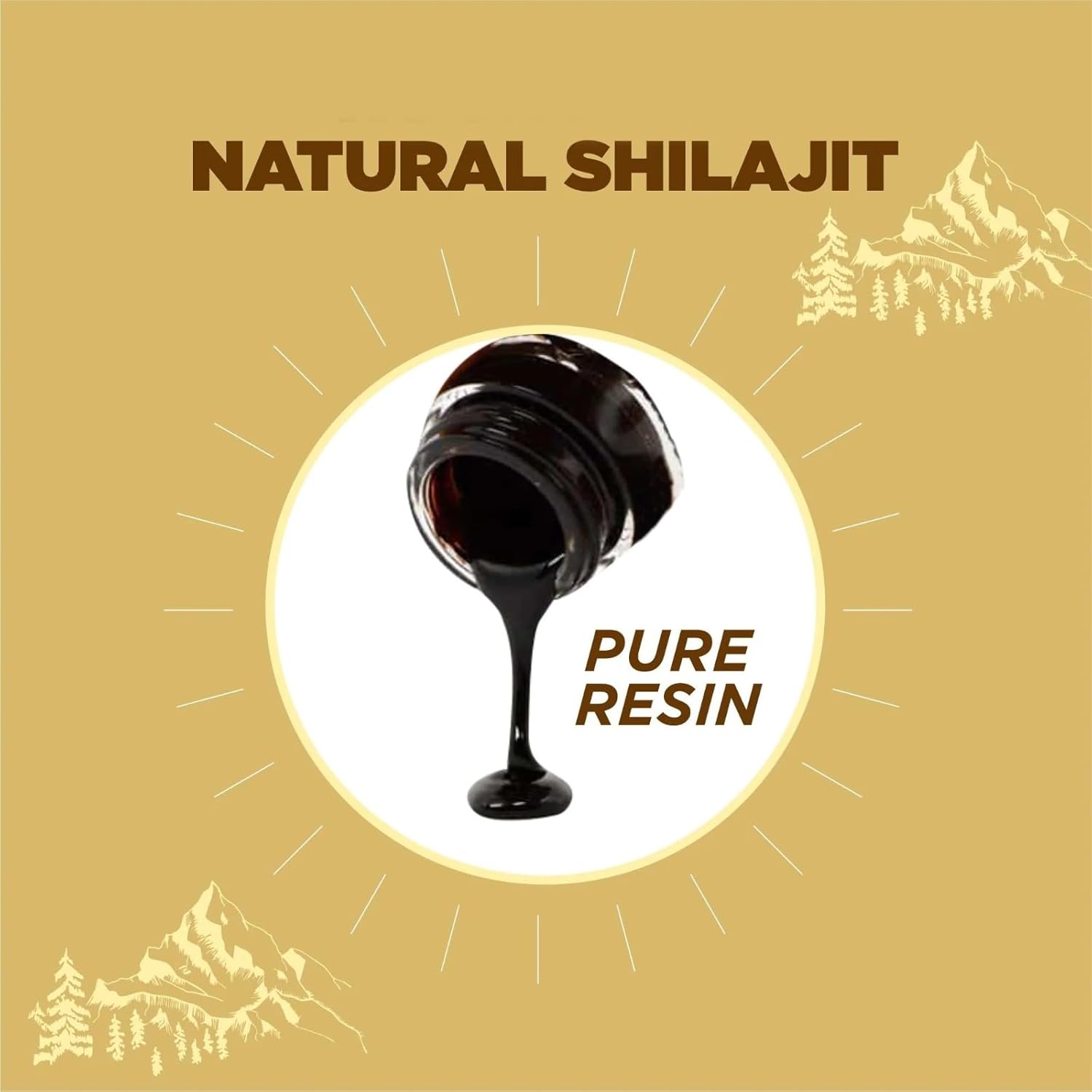 600mg ELVPOTEC Shilajit Pure Himalayan Resin with 85+ Trace Minerals - Natural Energy & Immune Support Supplement - 30g (1 Pack)