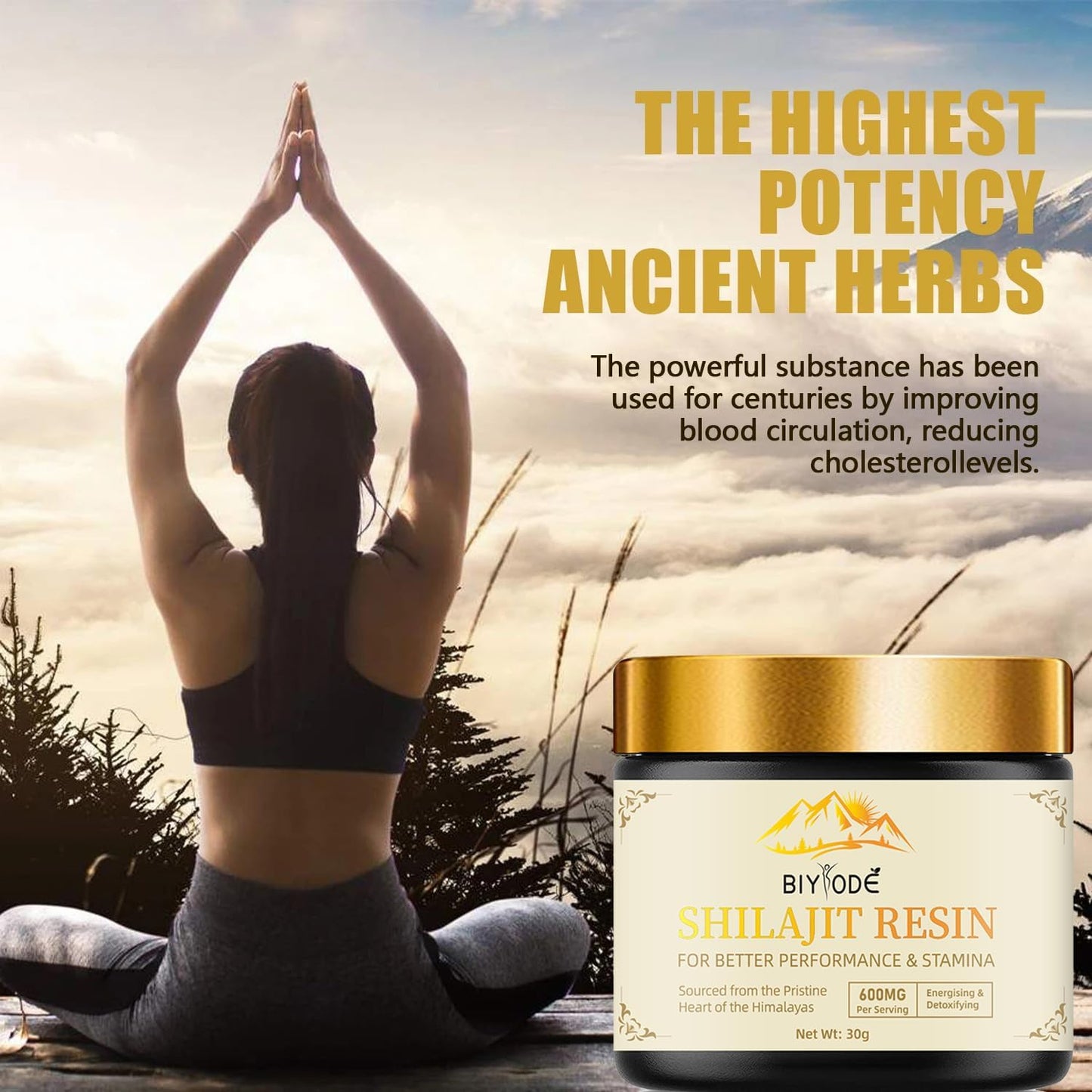 600mg Pure Himalayan Shilajit Resin - Gold Grade Organic Energy & Immune Support - 30g (2 Pcs)