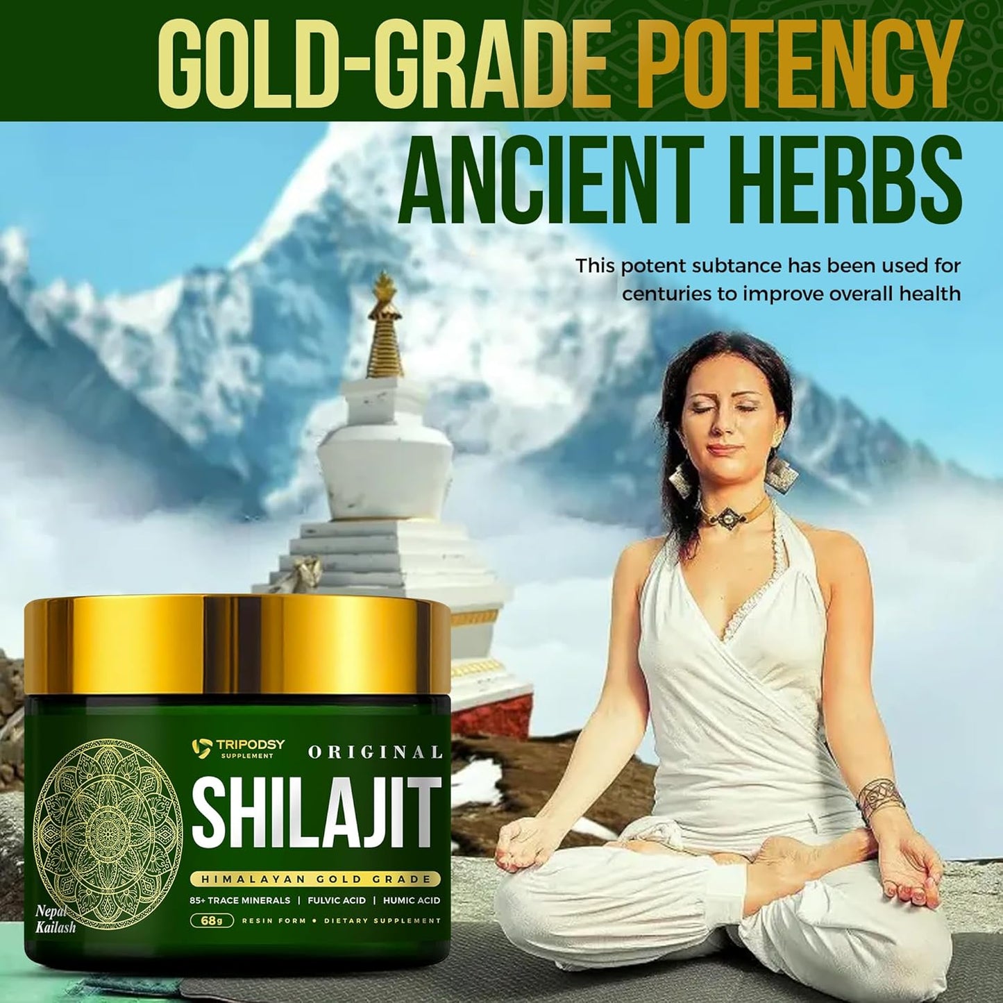 600mg Pure Himalayan Shilajit Resin Supplement - Natural Immune Support for Men & Women - 68g, 113 Servings - Elevate Well-Being with Original Flavor