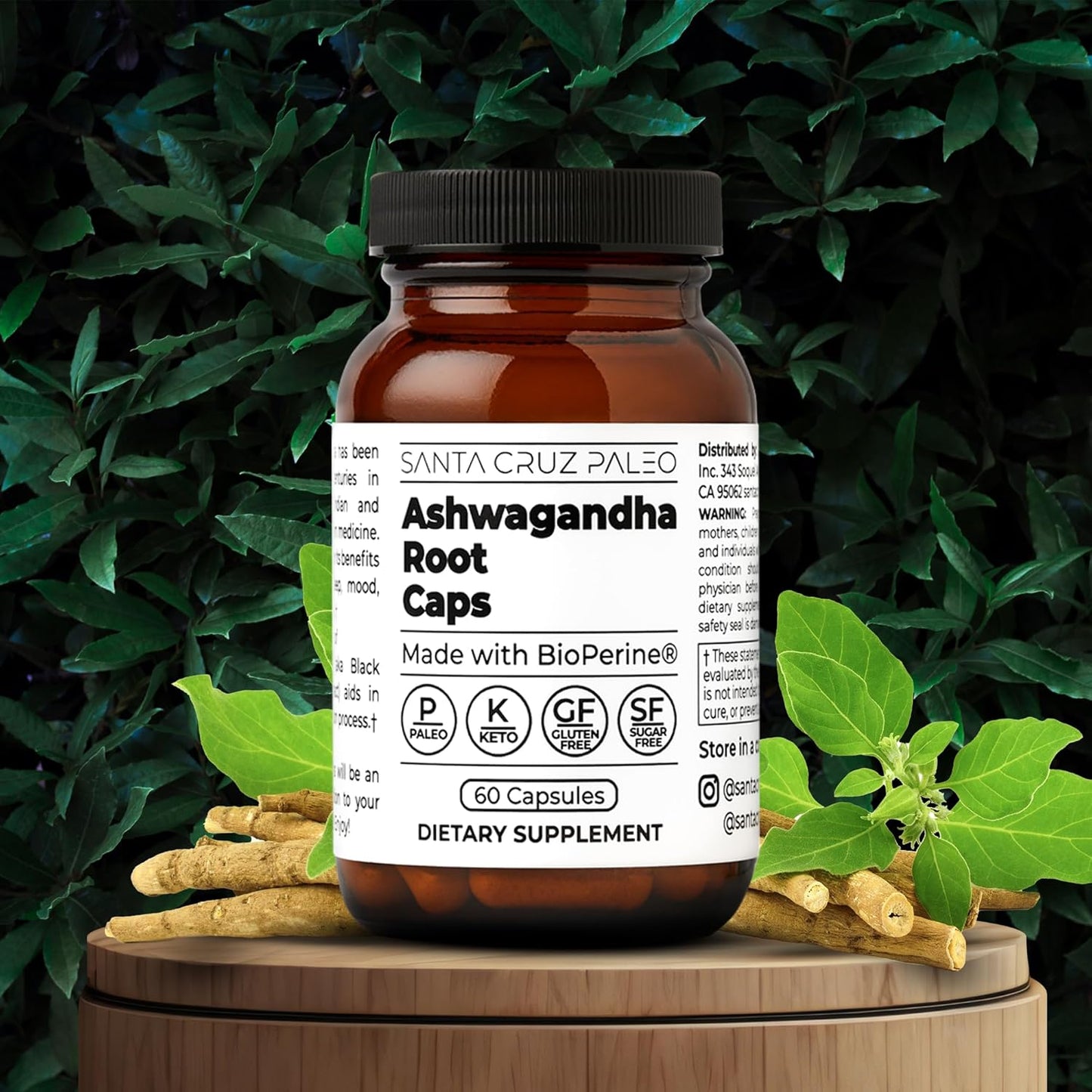 600mg Santa Cruz Paleo Ashwagandha Capsules with BioPerine for Energy, Focus, Relaxation - Gluten Free, Keto, Sugar Free - 60 Capsules