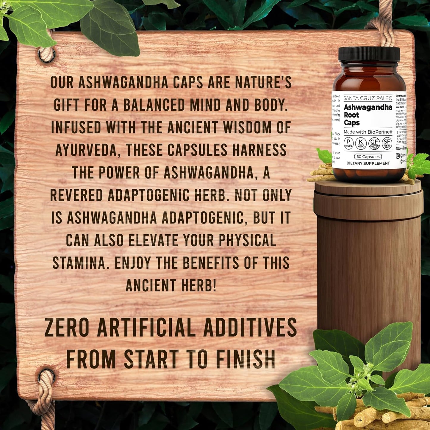 600mg Santa Cruz Paleo Ashwagandha Capsules with BioPerine for Energy, Focus, Relaxation - Gluten Free, Keto, Sugar Free - 60 Capsules