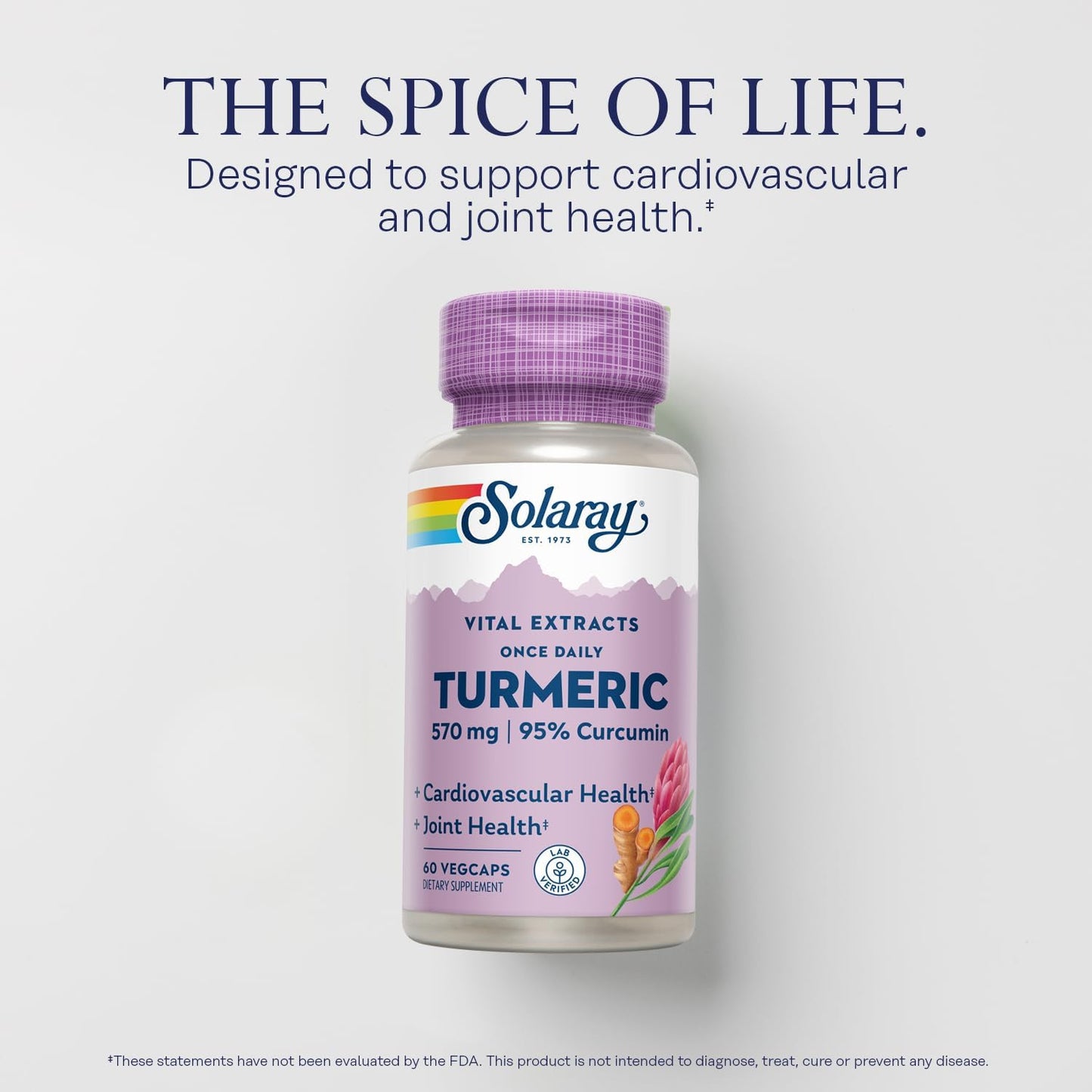 600mg Solaray Turmeric Root Extract VegCaps - Joint & Cardio Support - Guaranteed Potency - 1 Daily Dose - 60 Capsules