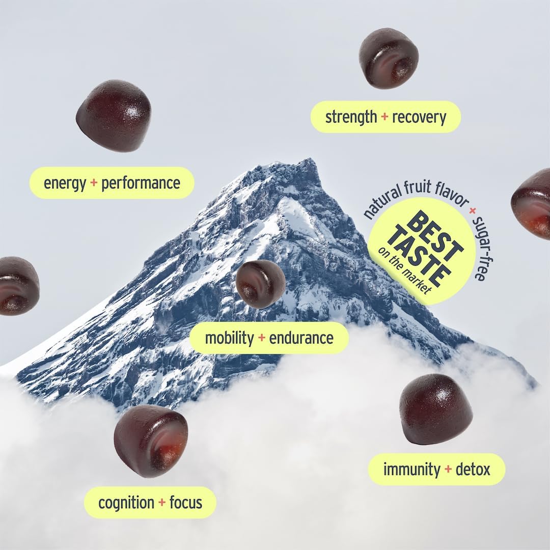 60ct Sugar-Free Vegan Gummies with Himalayan Shilajit for Strength and Optimal Health - Watermelon Flavor by SUNMED