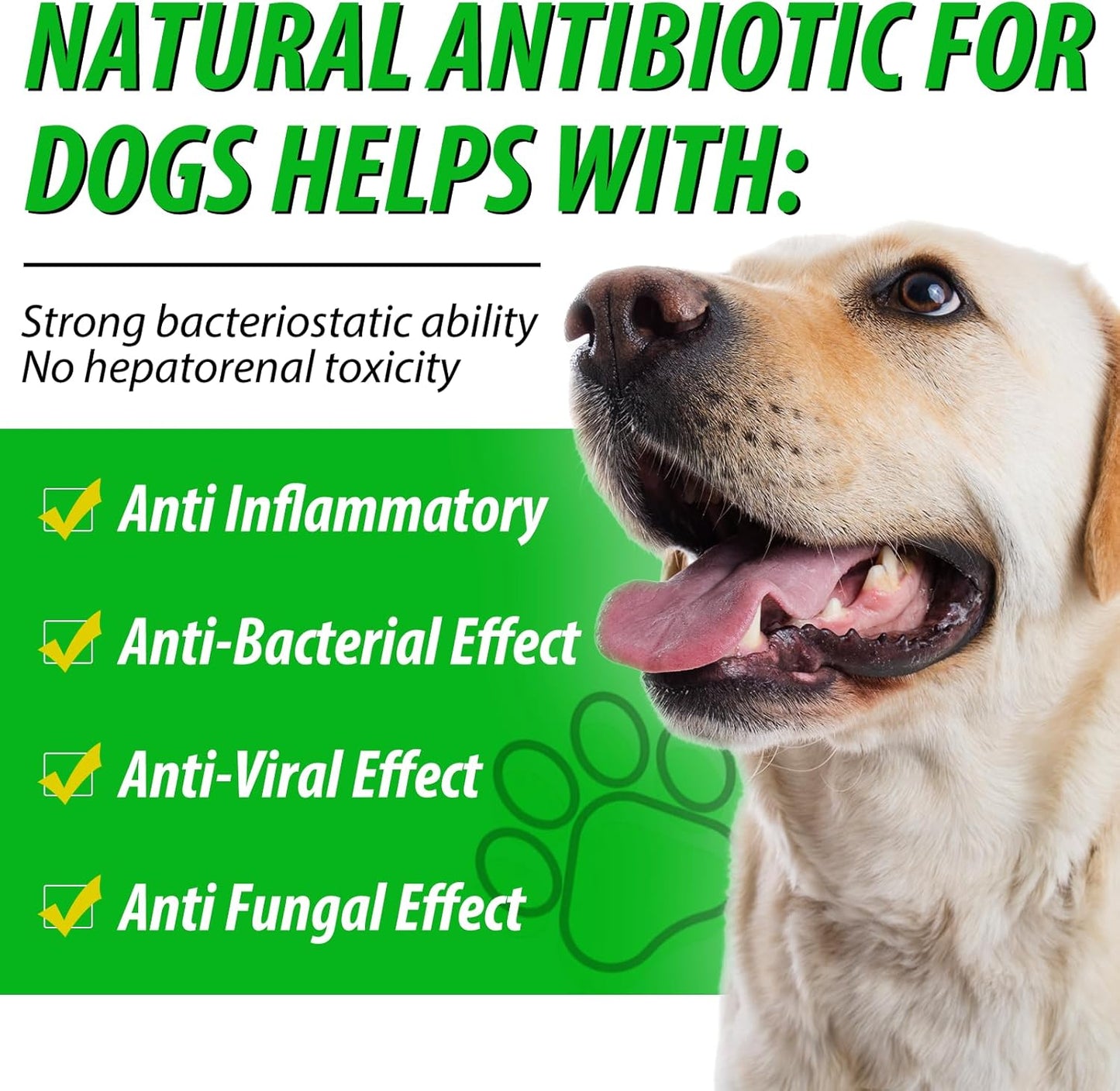 60ml Natural Dog Antibiotics Multivitamin and Supplements - Pack of 2