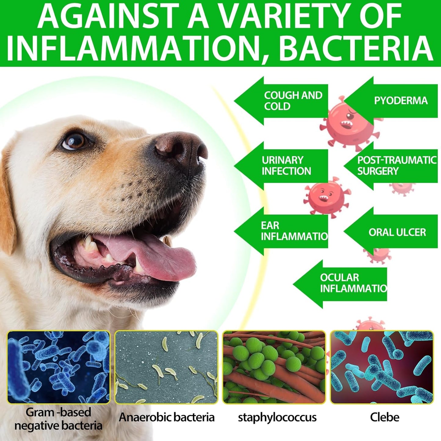 60ml Natural Dog Antibiotics Multivitamin and Supplements - Pack of 2