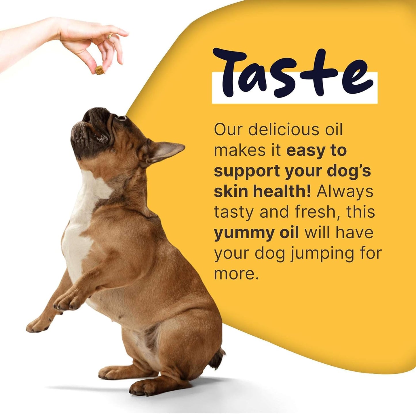 64 oz Healthy Pup Wild Alaskan Salmon and Pollock Oil for Dogs - Omega 3, EPA, DHA - Skin and Coat Supplement - USA Made