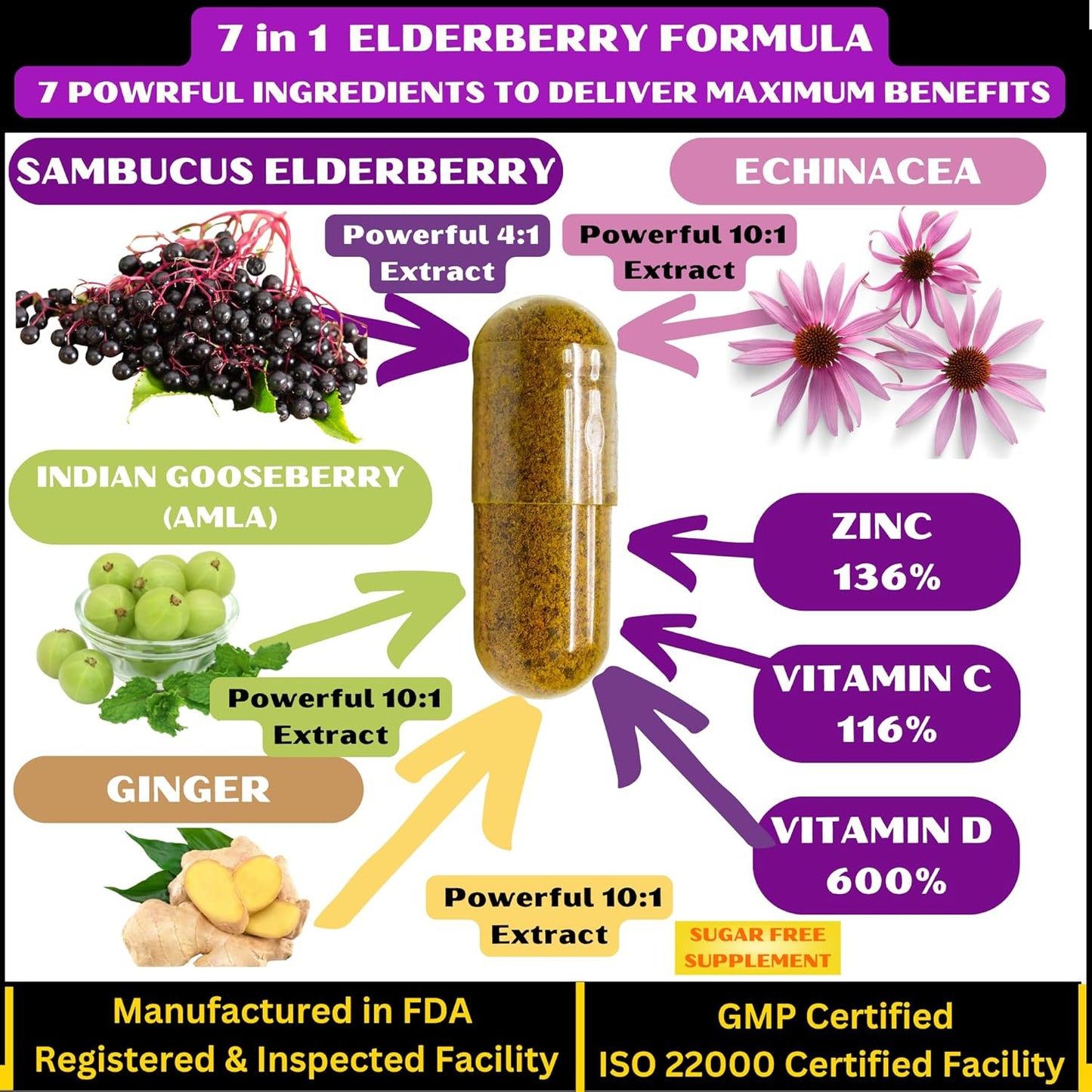 7-in-1 Elderberry and Turmeric Curcumin Blend with Zinc, Vitamin C, Echinacea, Ginger, and Black Pepper - 180 Capsules, All Natural and Non-GMO