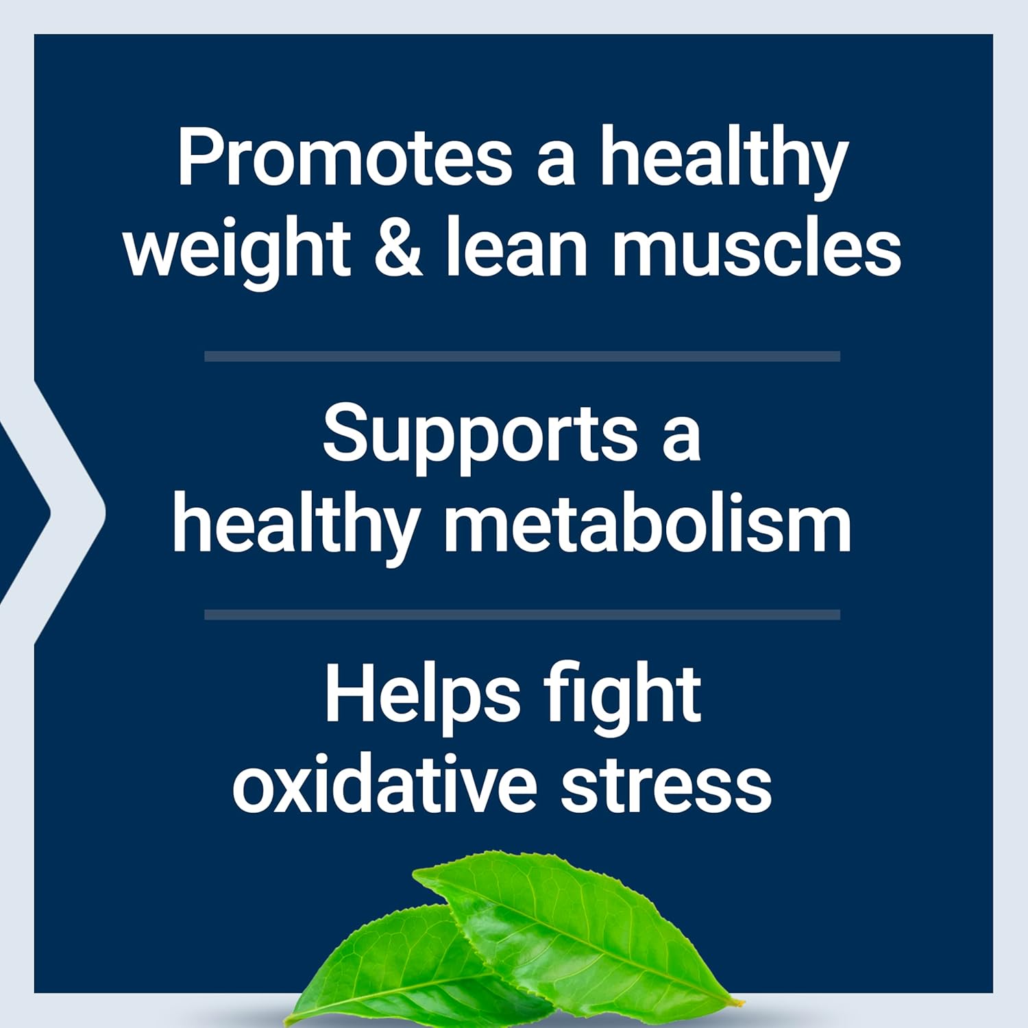 7-Keto DHEA Metabolite for Enhanced Fat Burning - Non-GMO, Gluten-Free - 100mg - 60 Vegan Capsules by Life Extension