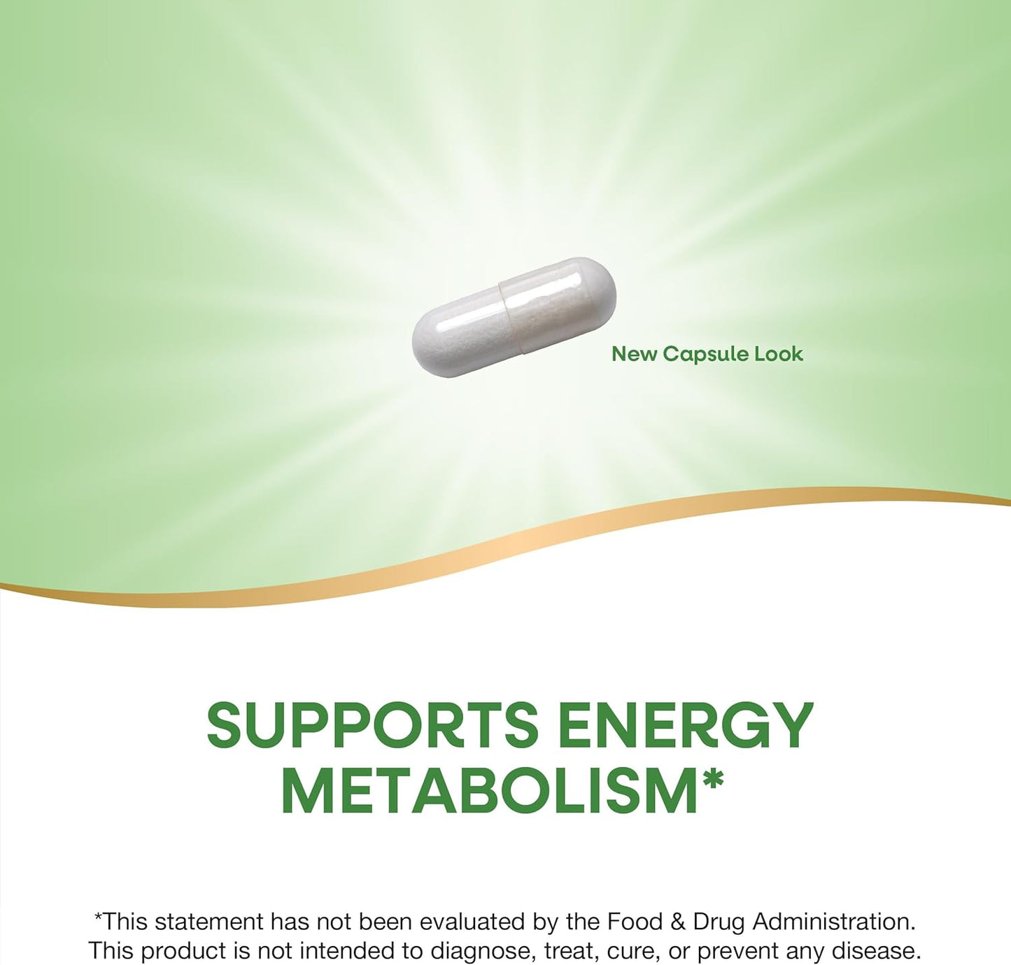 7-KETO DHEA Metabolite Supplement for Metabolism Support - 25mg Potency, 60 Capsules by Nature's Way