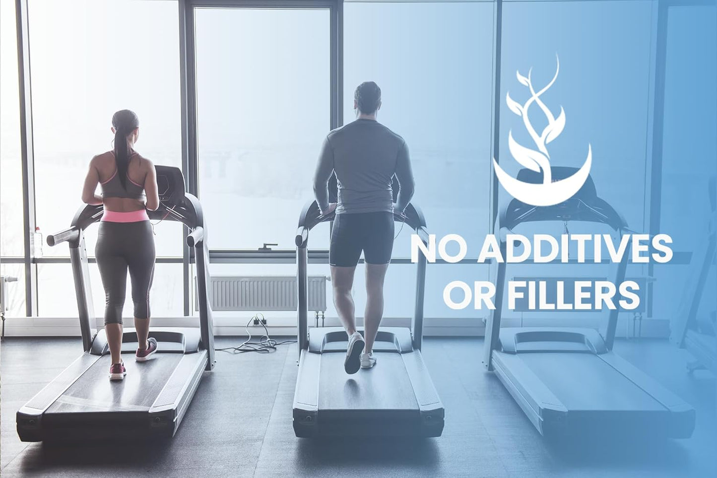 730 Capsules L-Arginine Supplement with Pure Original Ingredients, No Magnesium or Rice Fillers, Lab Verified