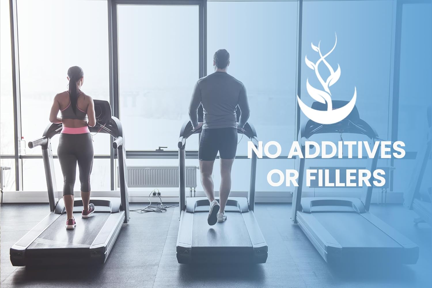 730 Capsules L-Arginine Supplement with Pure Original Ingredients, No Magnesium or Rice Fillers, Lab Verified