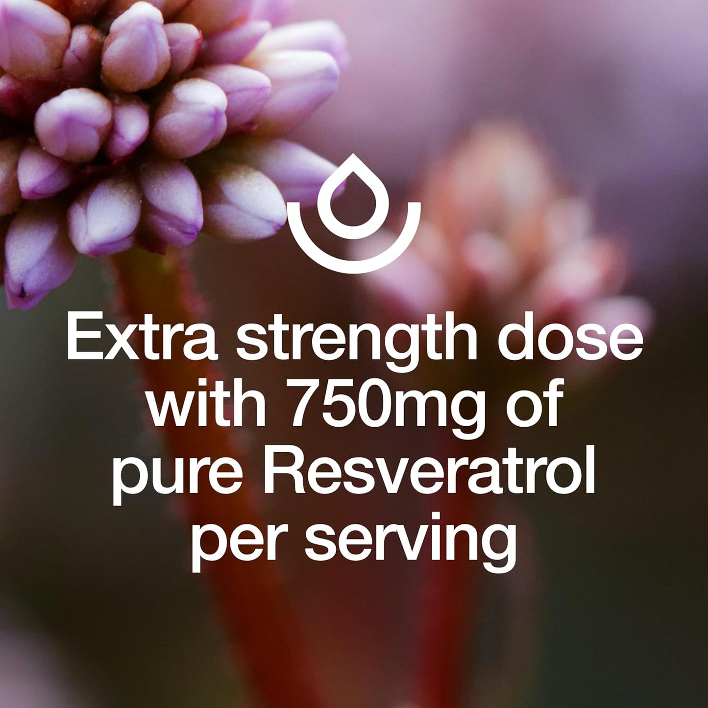 750mg Trans-resveratrol Supplement for Enhanced Nutrition - Natural, Vegan, and Non-GMO Polyphenols - 90 Capsules of Pure Potency
