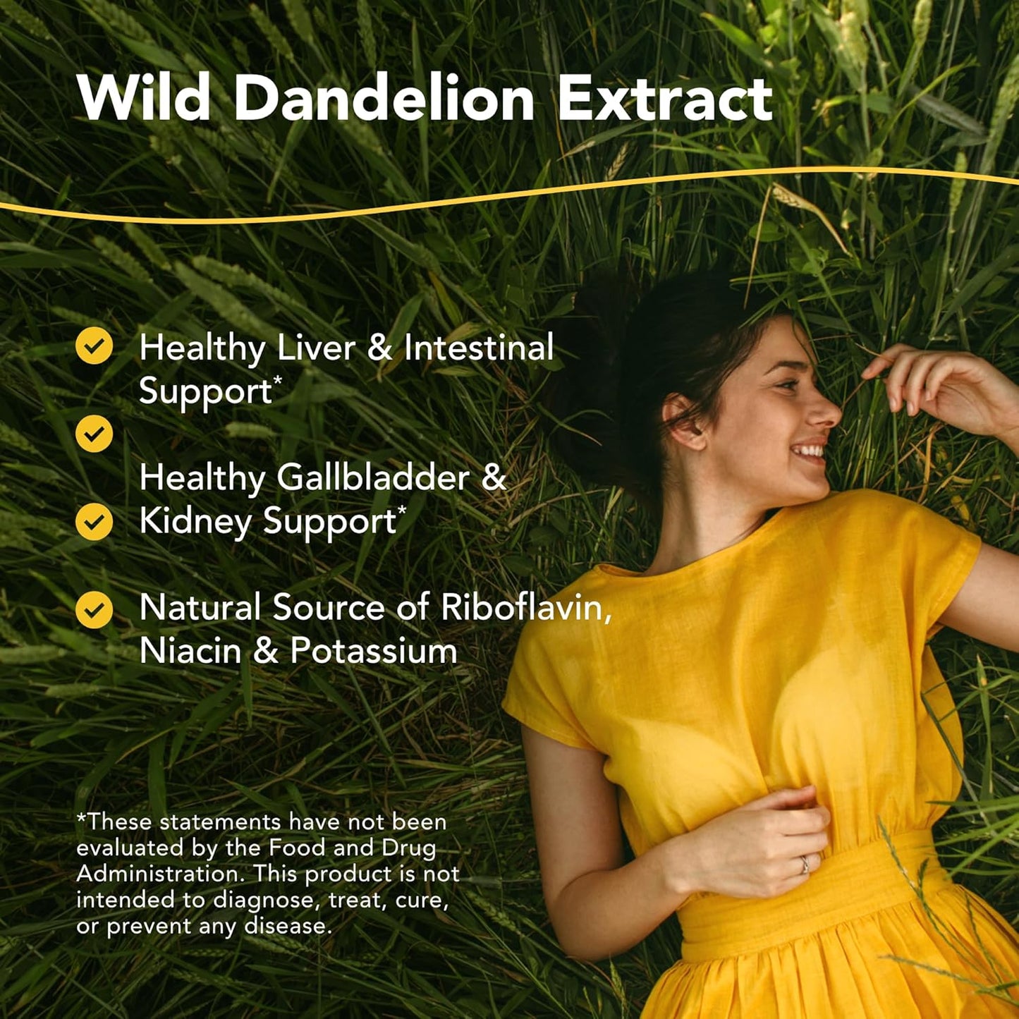 8 fl. oz. North American Herb & Spice Dand-o-Max - Digestive & Liver Health - Dandelion Root Extract with Oregano Oil - Non-GMO