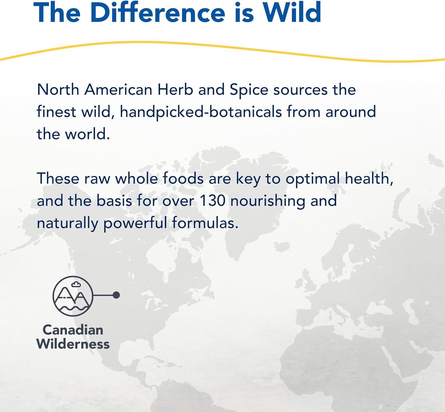 8 fl. oz. North American Herb & Spice Dand-o-Max - Digestive & Liver Health - Dandelion Root Extract with Oregano Oil - Non-GMO