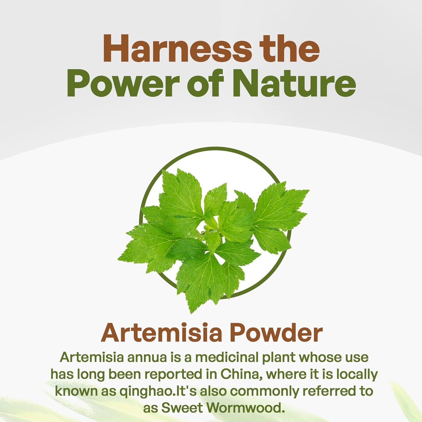 8 oz Go Nutra Sweet Wormwood Powder - Pure Artemisia Annua Annua Artemisinin Herbal Supplement - Non-GMO