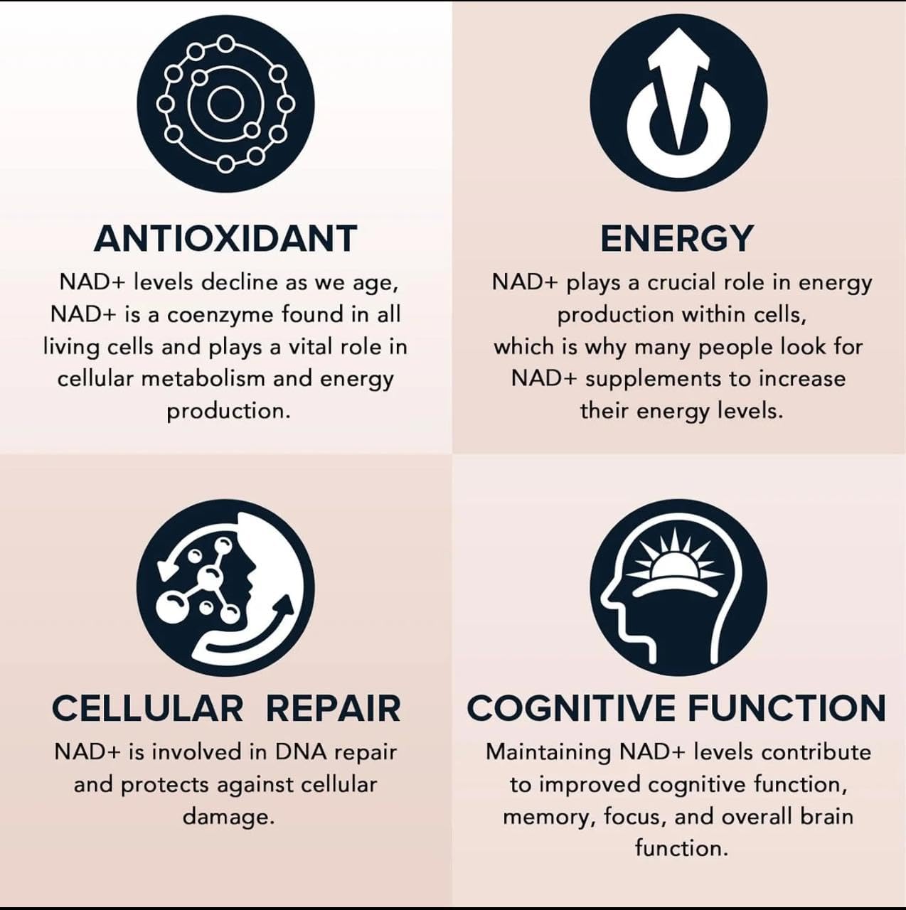 80 Capsules Nutragole Liposomal Nicotinamide Riboside 900mg NAD+ NMN Resveratrol Quercetin Skin Energy Focus Anti-Aging Supplement