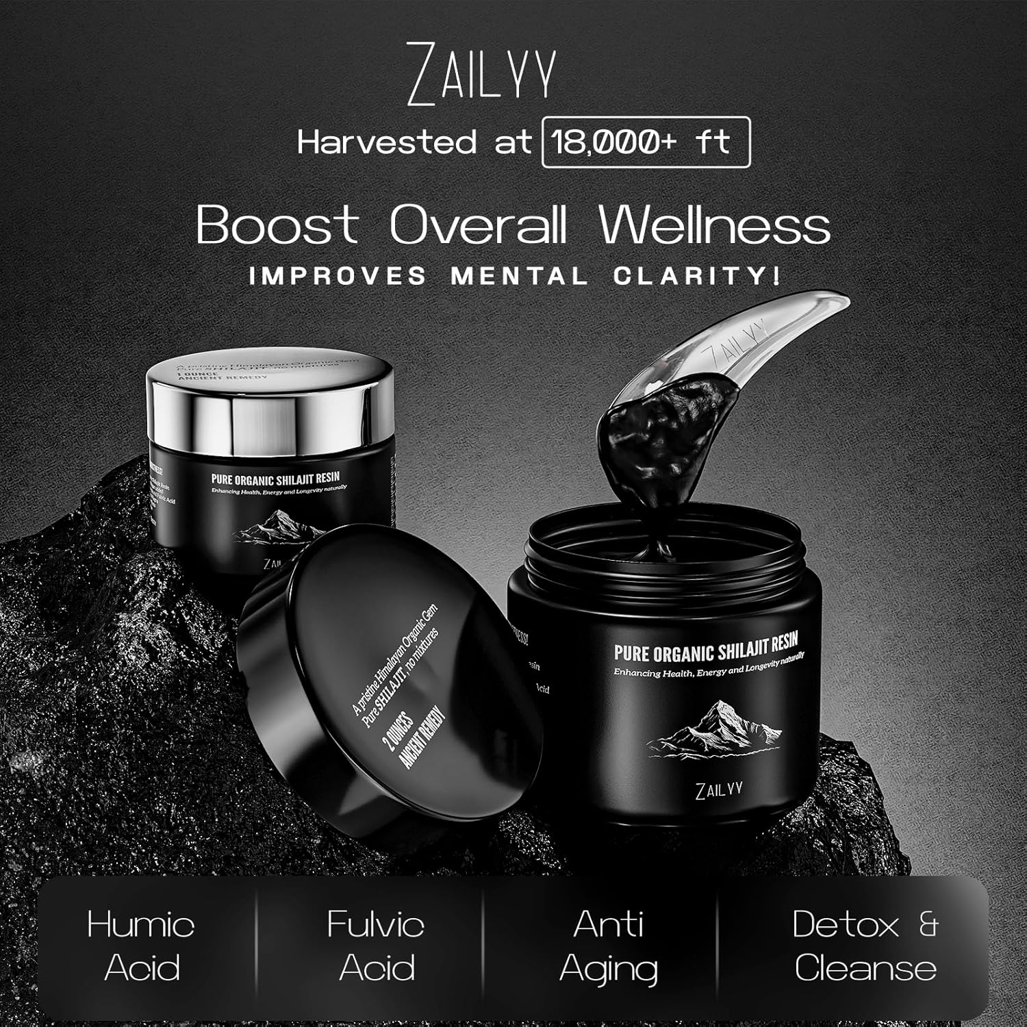 80g Pure Himalayan Organic Shilajit Resin Supplement with Fulvic Acid & Trace Minerals for Energy Booster