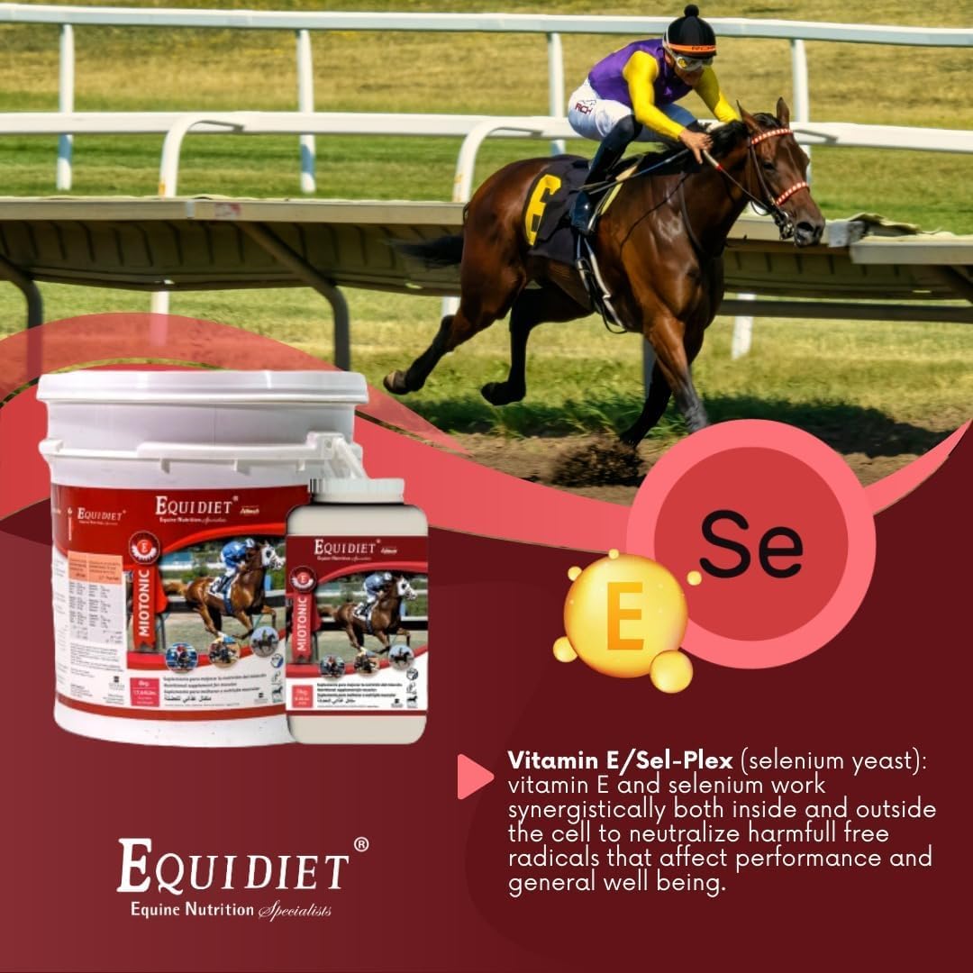 8kg MIOTONIC Vitamin E Supplement for Horses - Feed Pellets with Vitamins, Minerals, and Weight Builder - Equine Neutraceuticals