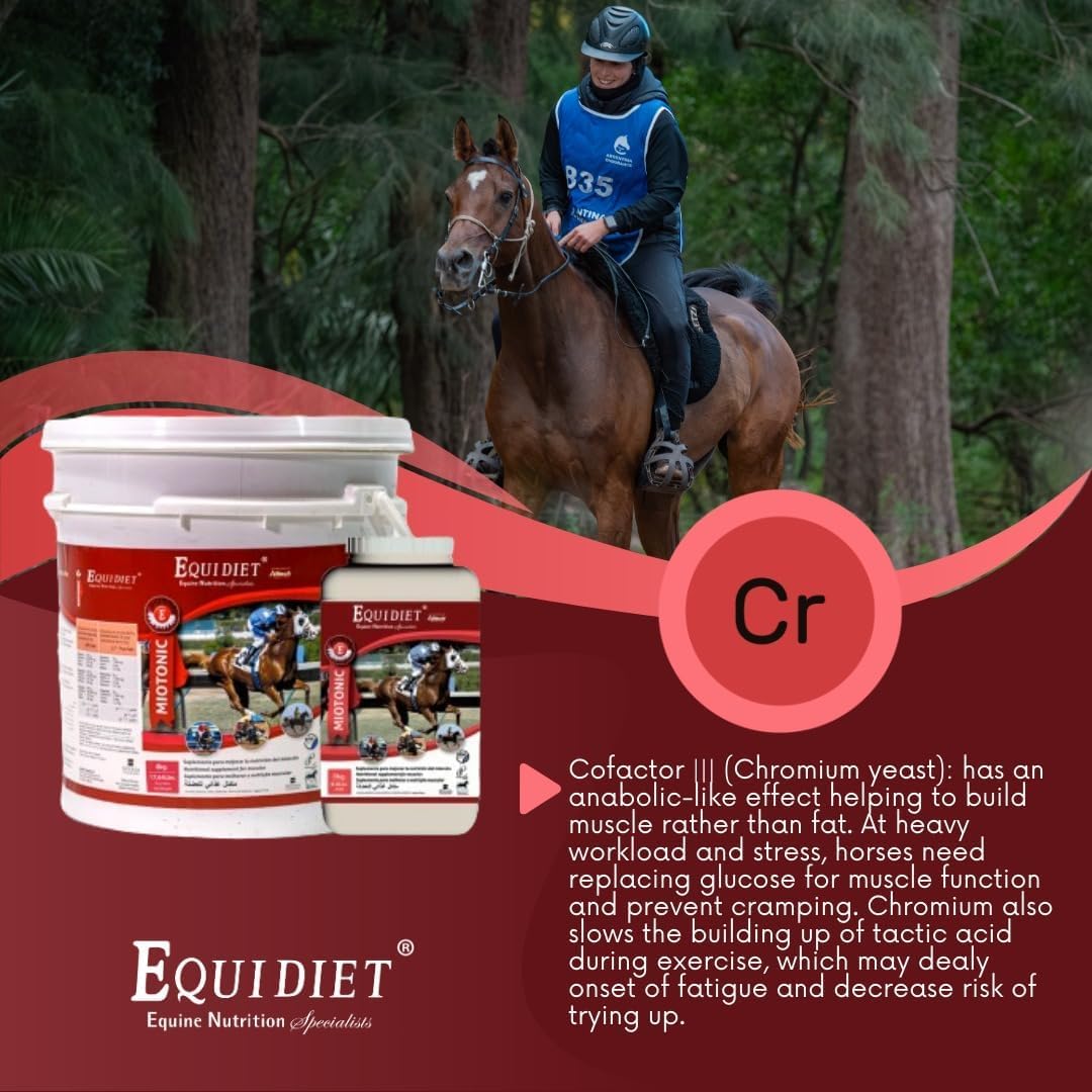 8kg MIOTONIC Vitamin E Supplement for Horses - Feed Pellets with Vitamins, Minerals, and Weight Builder - Equine Neutraceuticals