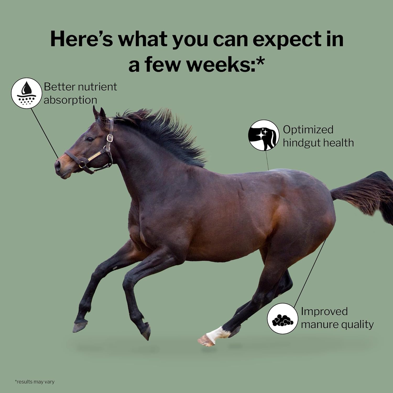 8lb Bag of Formula 707 Equine Digestive Health Supplement with Probiotics, Prebiotics, and Enzymes for Horses