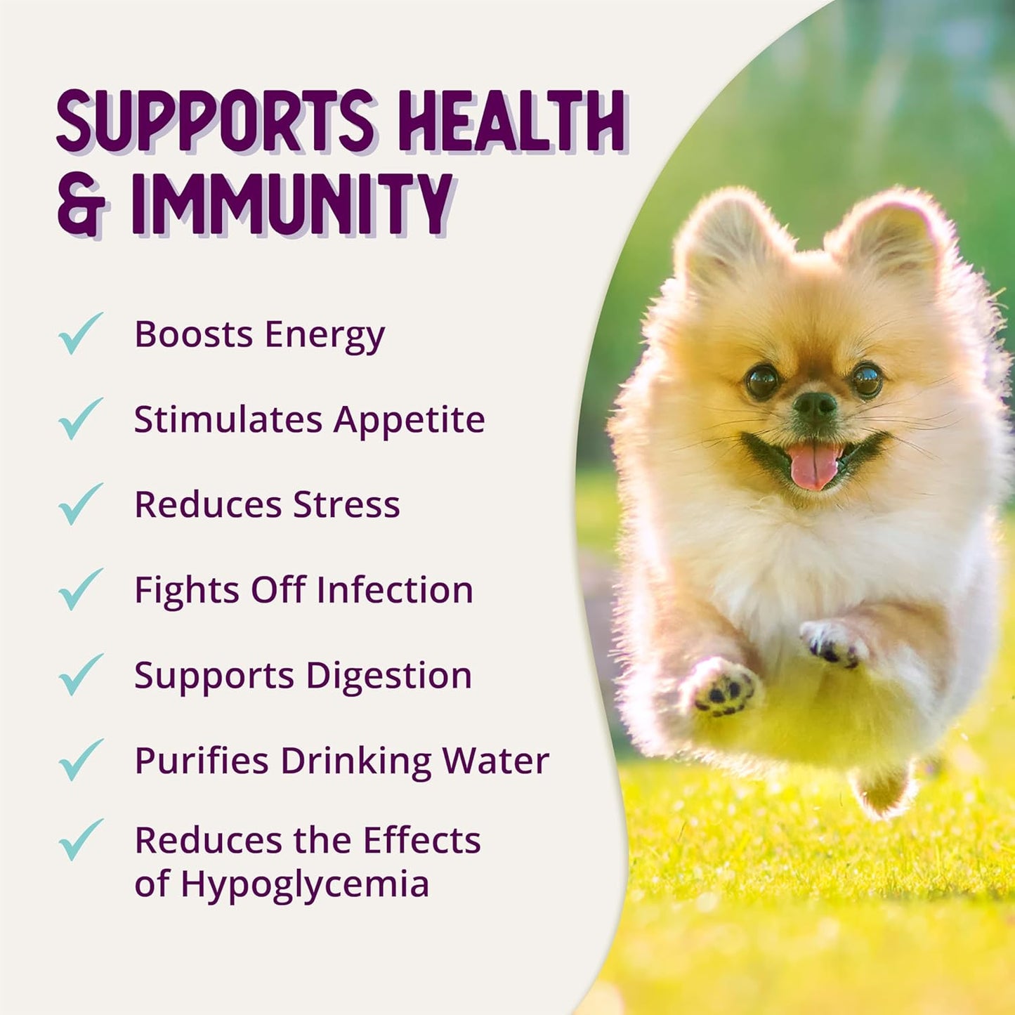 8oz Health Extension Stress Relief Supplement for Dogs with Appetite & Energy Boost - Prevents Hypoglycemia, Enriched with Vitamin B