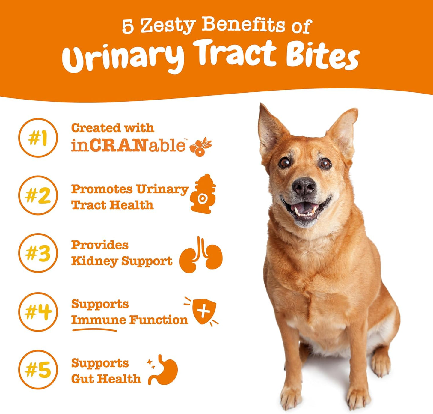 90-Count Chicken Cranberry Chews for Dogs - Bladder & Urinary Tract Support Supplement - Immune & Gut Health