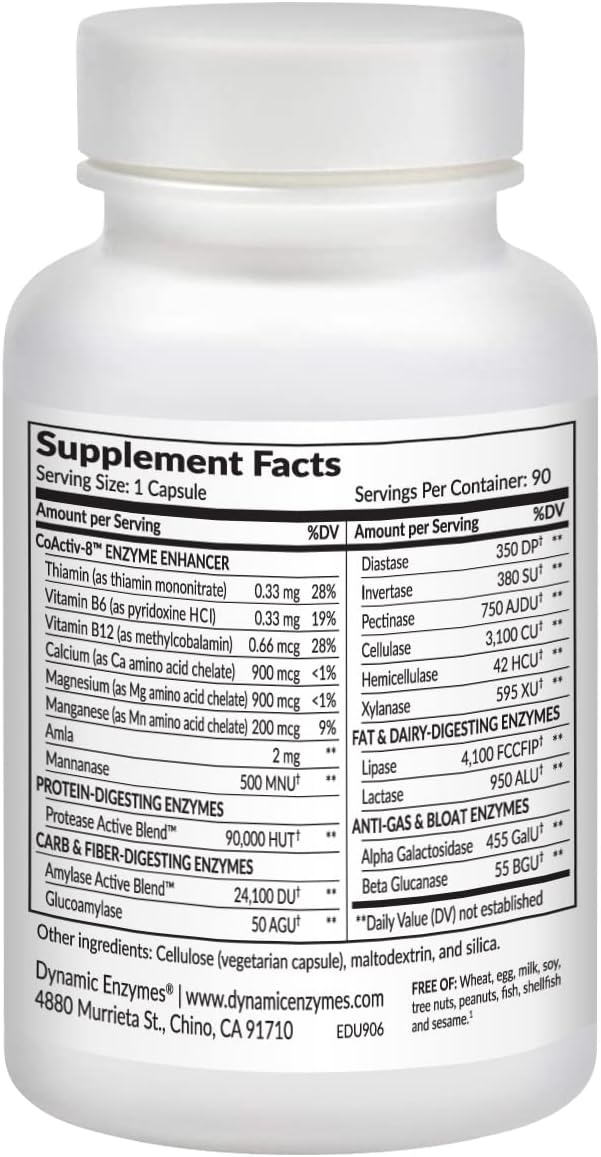 90 Count Dynamic Enzymes Eat E-Z Ultra Digestive Enzymes for Gut Health and Immune Support