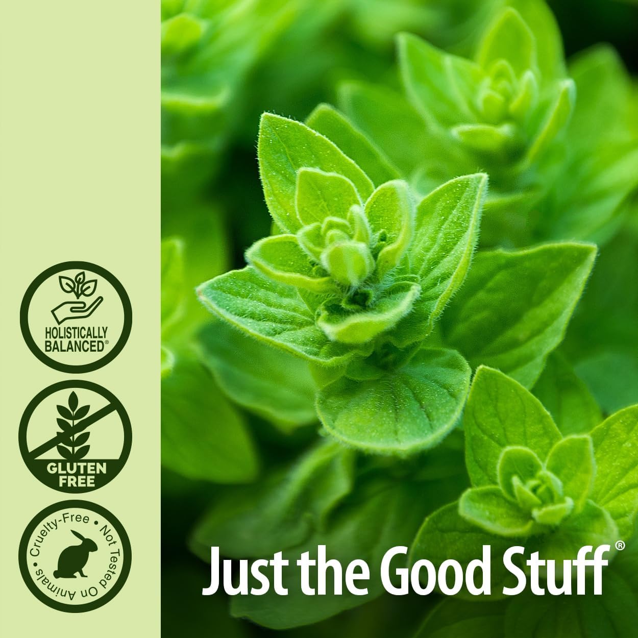 90-Count Nature's Answer Oil of Oregano Softgel Capsules | Immune Support & Digestive Health Booster