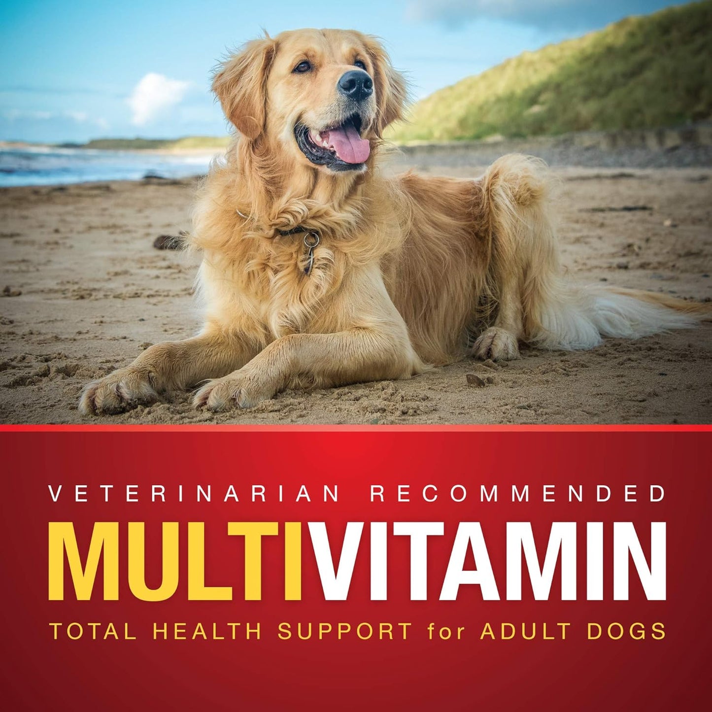 90 Count VetIQ Multivitamin Soft Chews for Dogs - Health Support Supplement