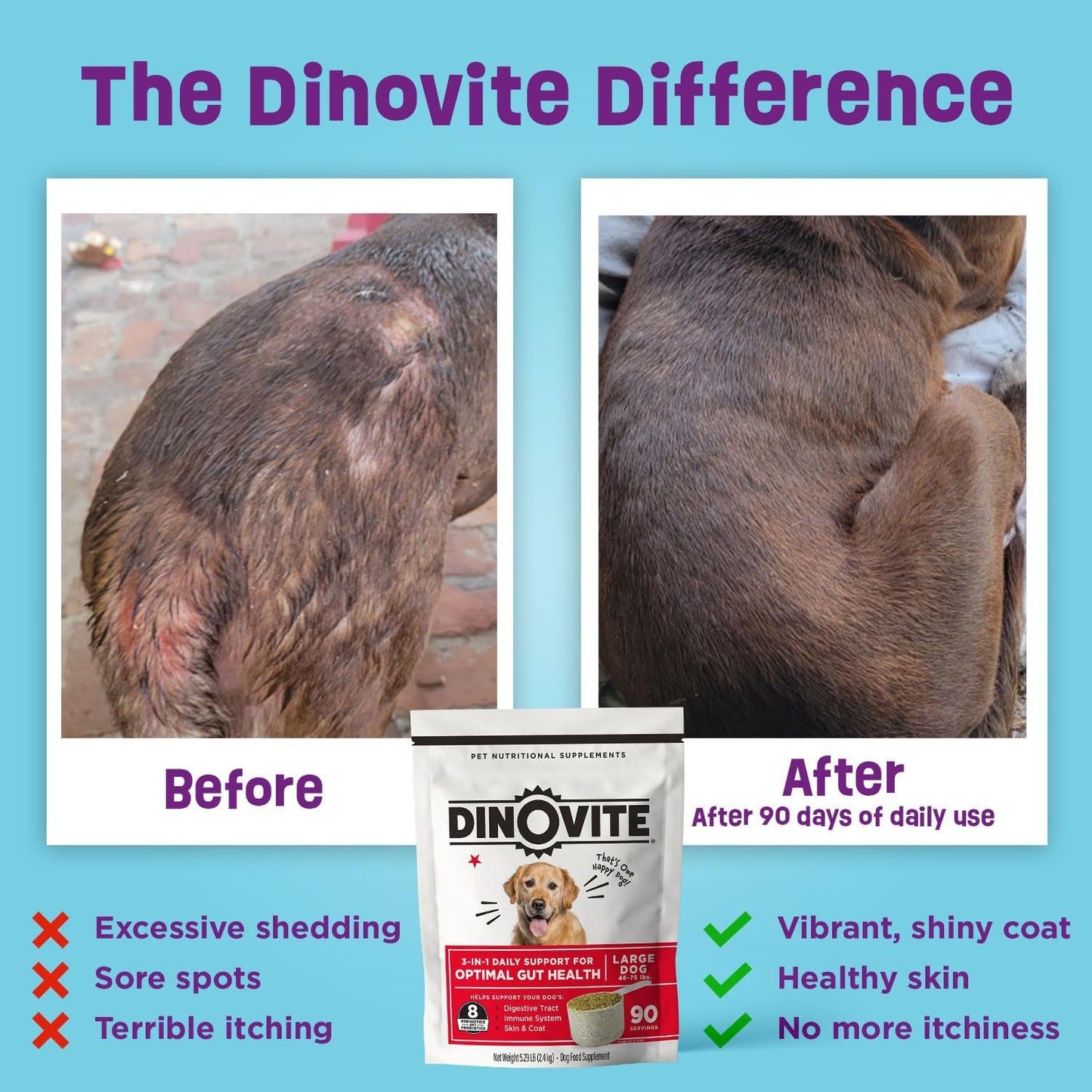 90-Day Supply of Dinovite Dog Probiotics for Medium-Sized Dogs (18-45 lbs) - Promotes Healthy Immune System & Digestive Health, Hot Spot Relief