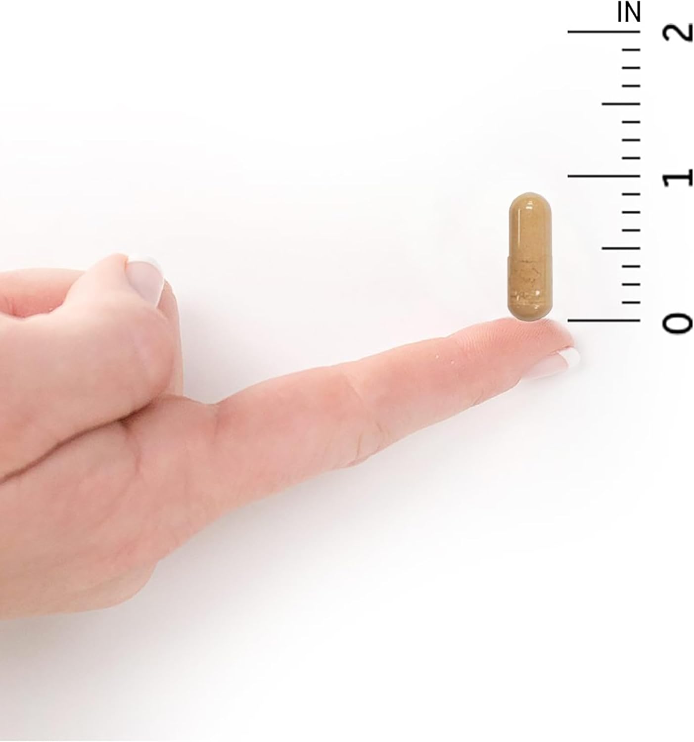 90 Vegetarian Capsules Garden of Life RAW Probiotics Women - Gut Health Supplement