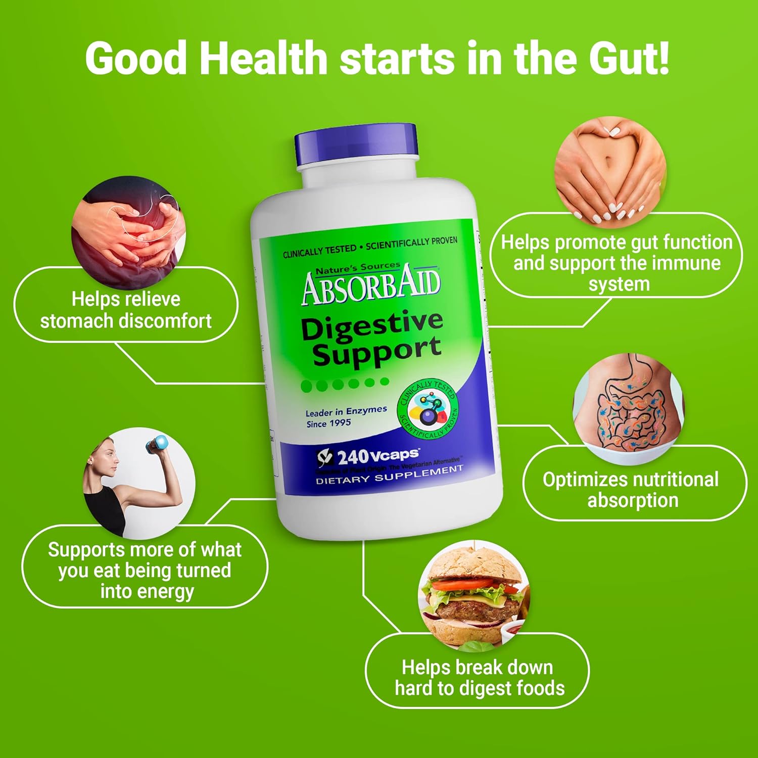 AbsorbAid Digestive Enzymes: Enhance Nutrient Absorption with 240 vCaps - Up to 71% Increase