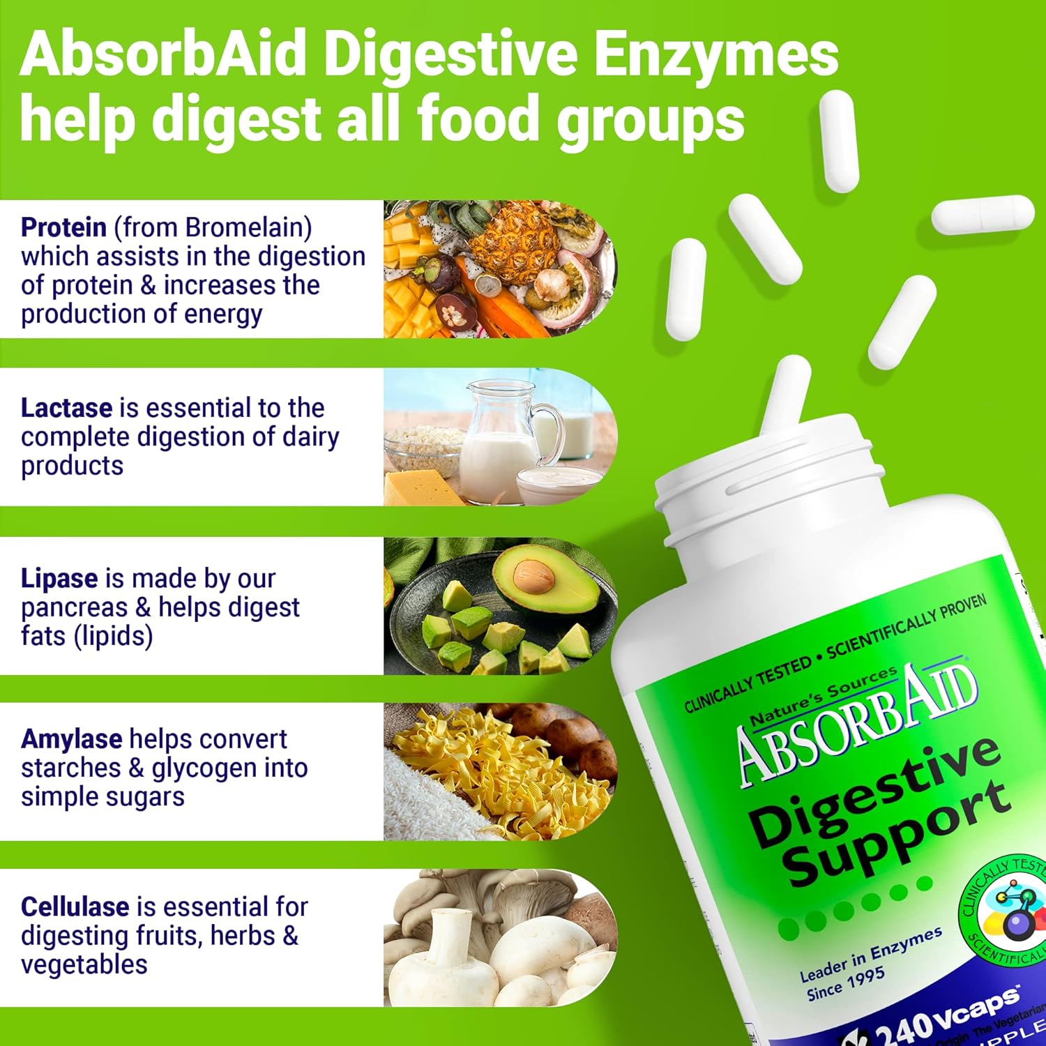 AbsorbAid Digestive Enzymes: Enhance Nutrient Absorption with 240 vCaps - Up to 71% Increase