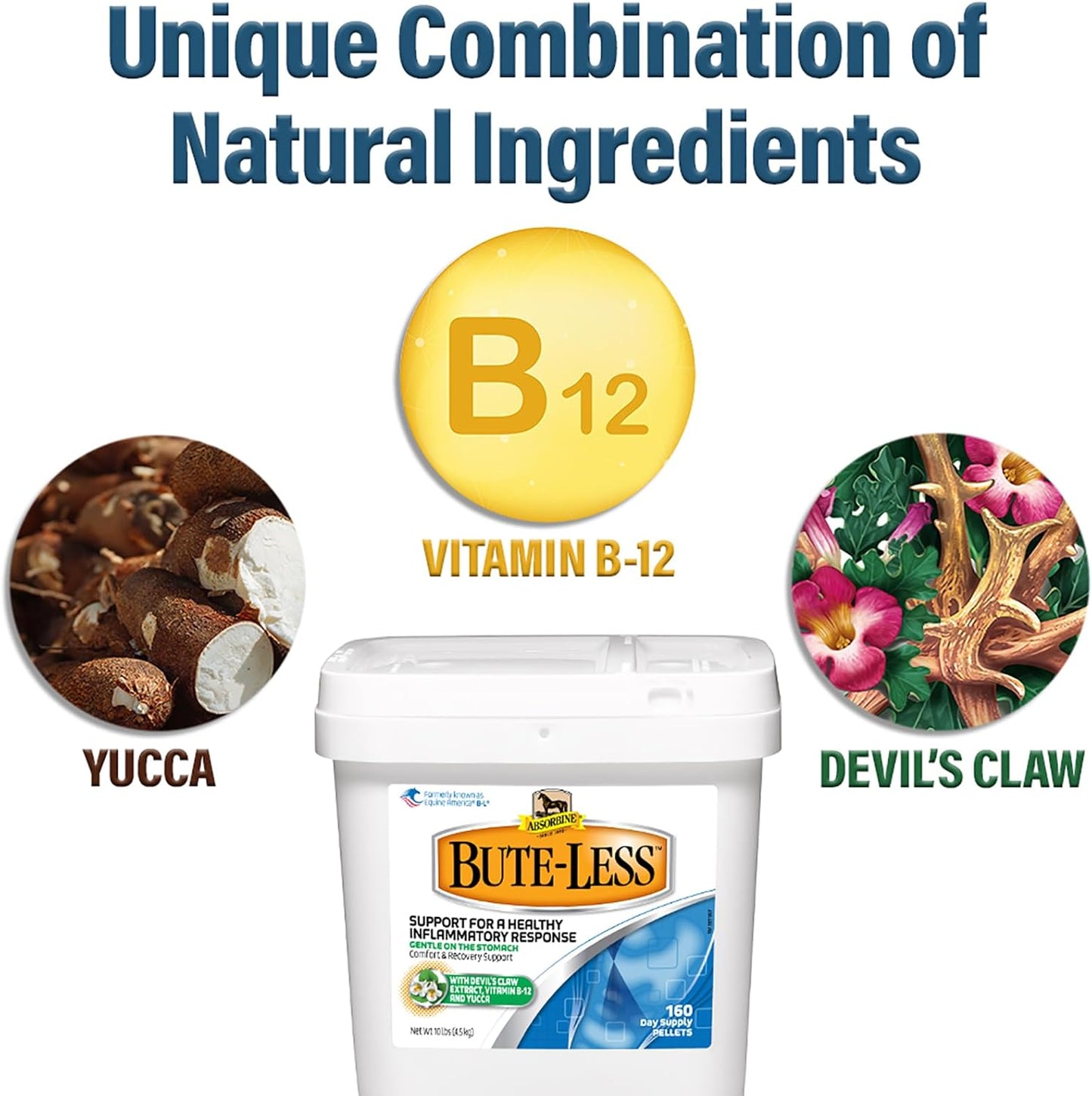 Absorbine Bute-Less Supplement: Supports Comfort & Recovery, Gentle on Stomach, Contains Devil’s Claw, Vitamin B-12, Yucca - 10 lb / 160 Days