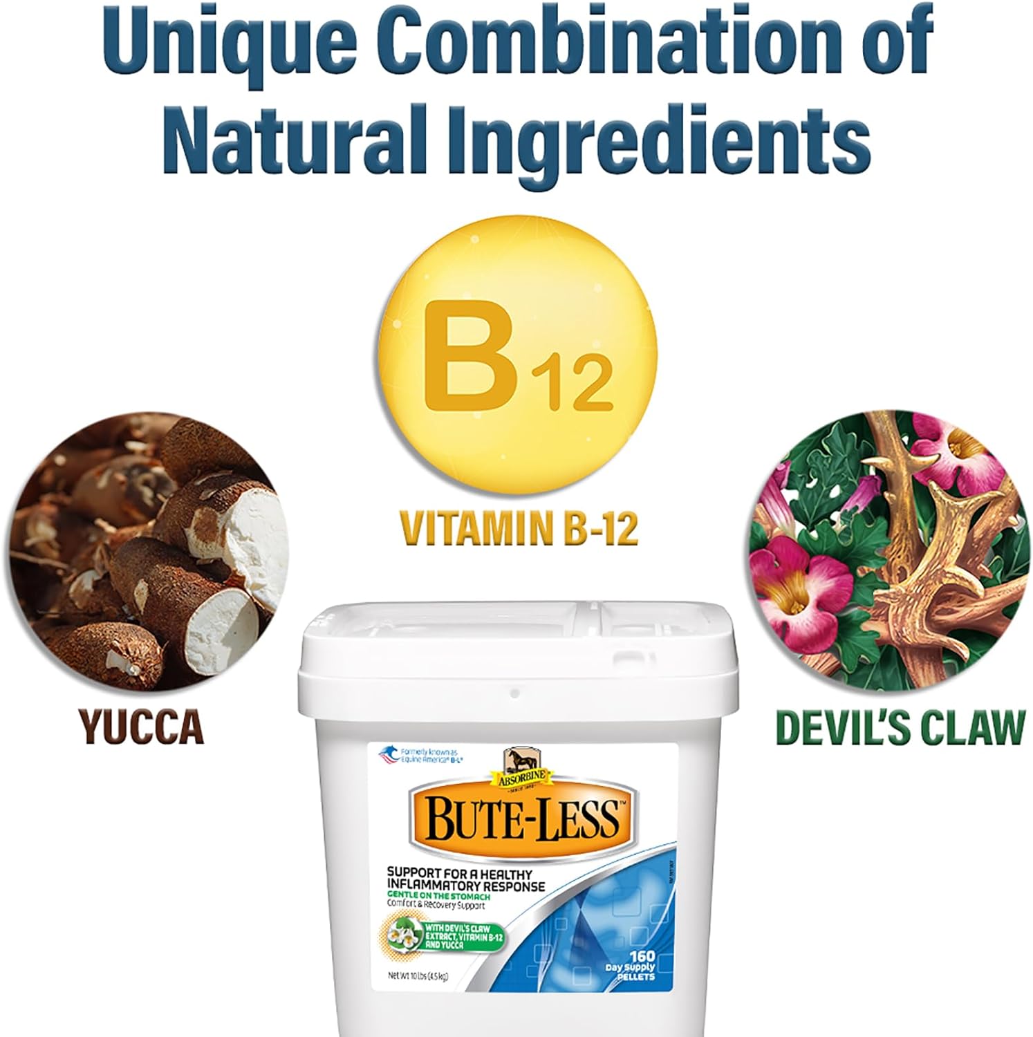 Absorbine Bute-Less Supplement: Supports Comfort & Recovery, Gentle on Stomach, Contains Devil’s Claw, Vitamin B-12, Yucca - 10 lb / 160 Days