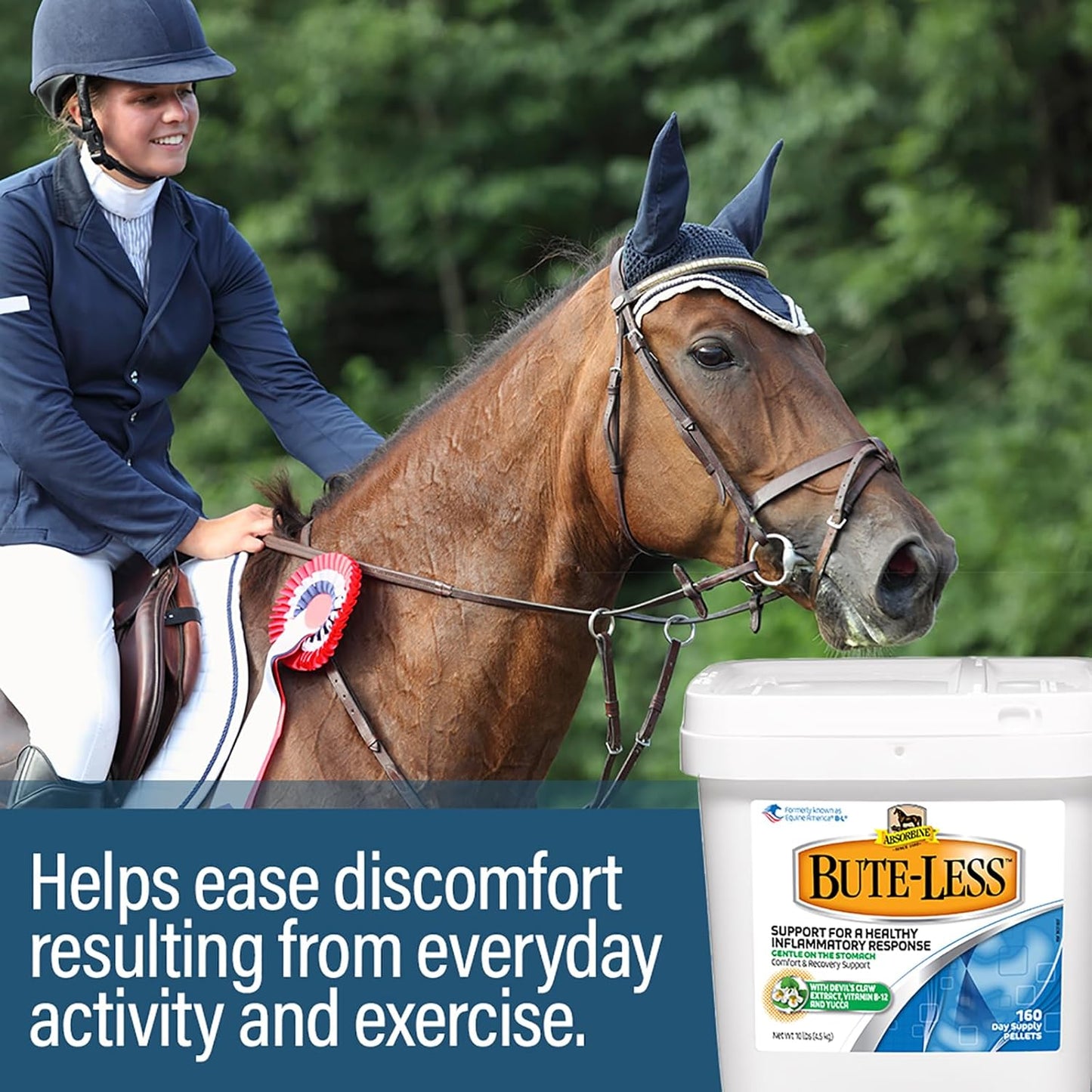 Absorbine Bute-Less Supplement: Supports Comfort & Recovery, Gentle on Stomach, Contains Devil’s Claw, Vitamin B-12, Yucca - 10 lb / 160 Days