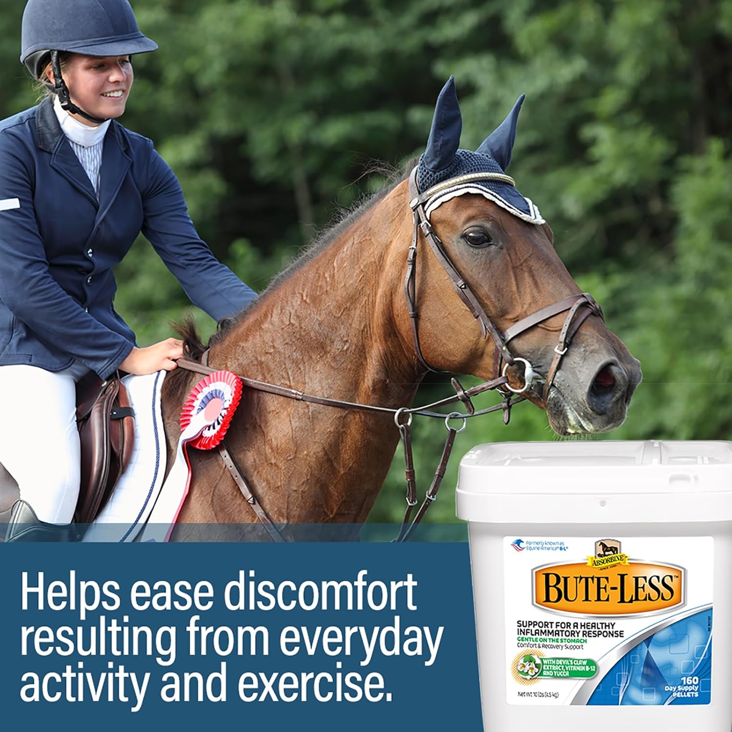 Absorbine Bute-Less Supplement: Supports Comfort & Recovery, Gentle on Stomach, Contains Devil’s Claw, Vitamin B-12, Yucca - 10 lb / 160 Days