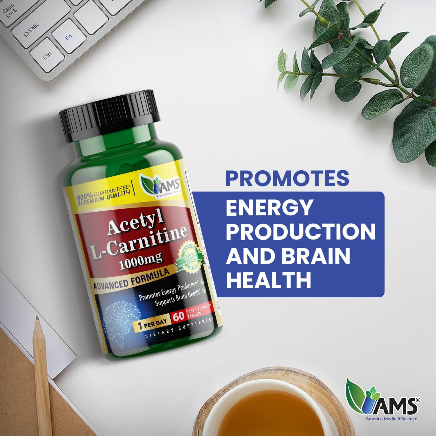 Acetyl L-Carnitine 1000mg Dietary Supplement Tablets for Energy, Brain Health, Memory, and Focus - 60 Count