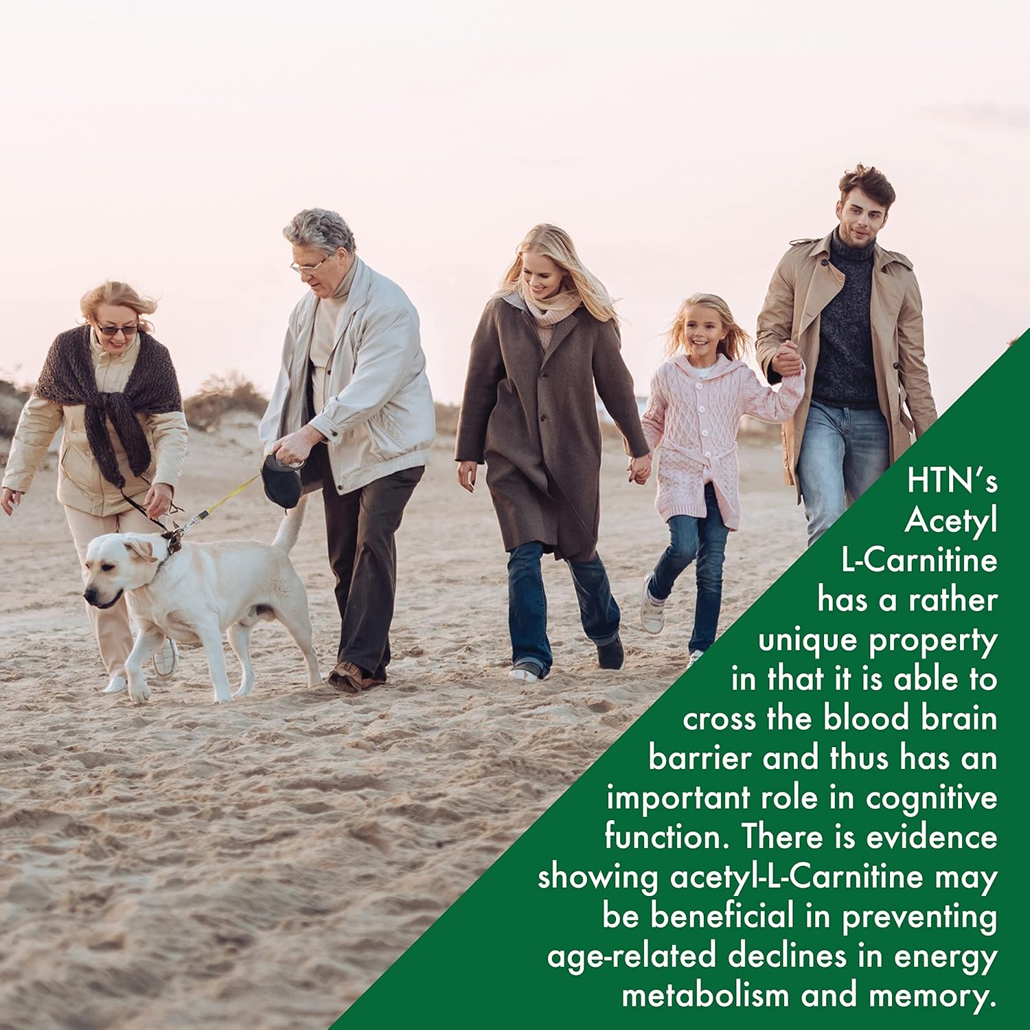 Acetyl L-Carnitine 500mg Capsules - Cognitive Support for Memory & Attention - Non-GMO, 3rd Party Tested - Hypoallergenic & Vegan Formula