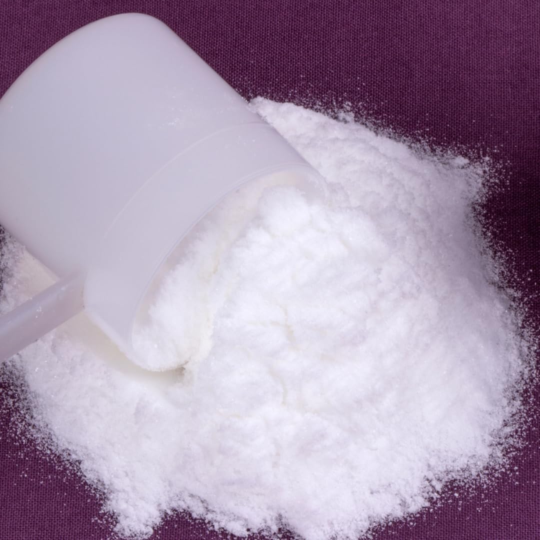 Acetyl L-Carnitine Powder Supplement - Pure ALCAR Amino Acid (1 lb)