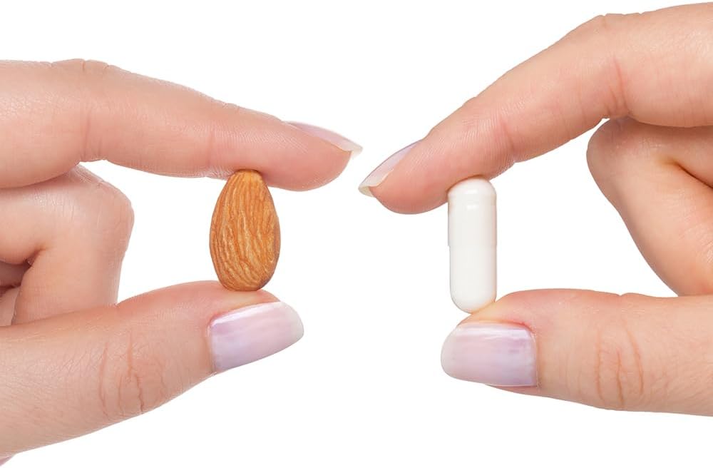 Acetyl-L-Carnitine Supplement for Energy, Fat Metabolism & Memory Health - 500mg, 90 Capsules by Seeking Health