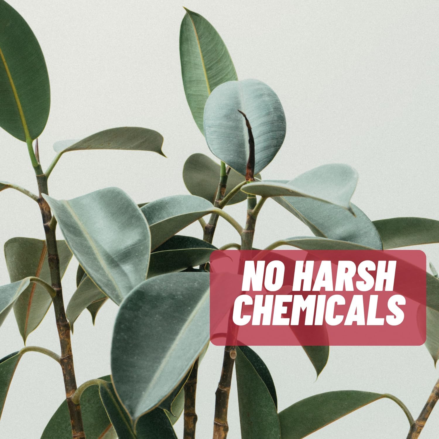 Acnetame 3 Pack: Hormonal Pimple Tablets for Acne Treatment - Vitamin Supplements to Clear Oily Skin for Women, Men, Teens, and Adults