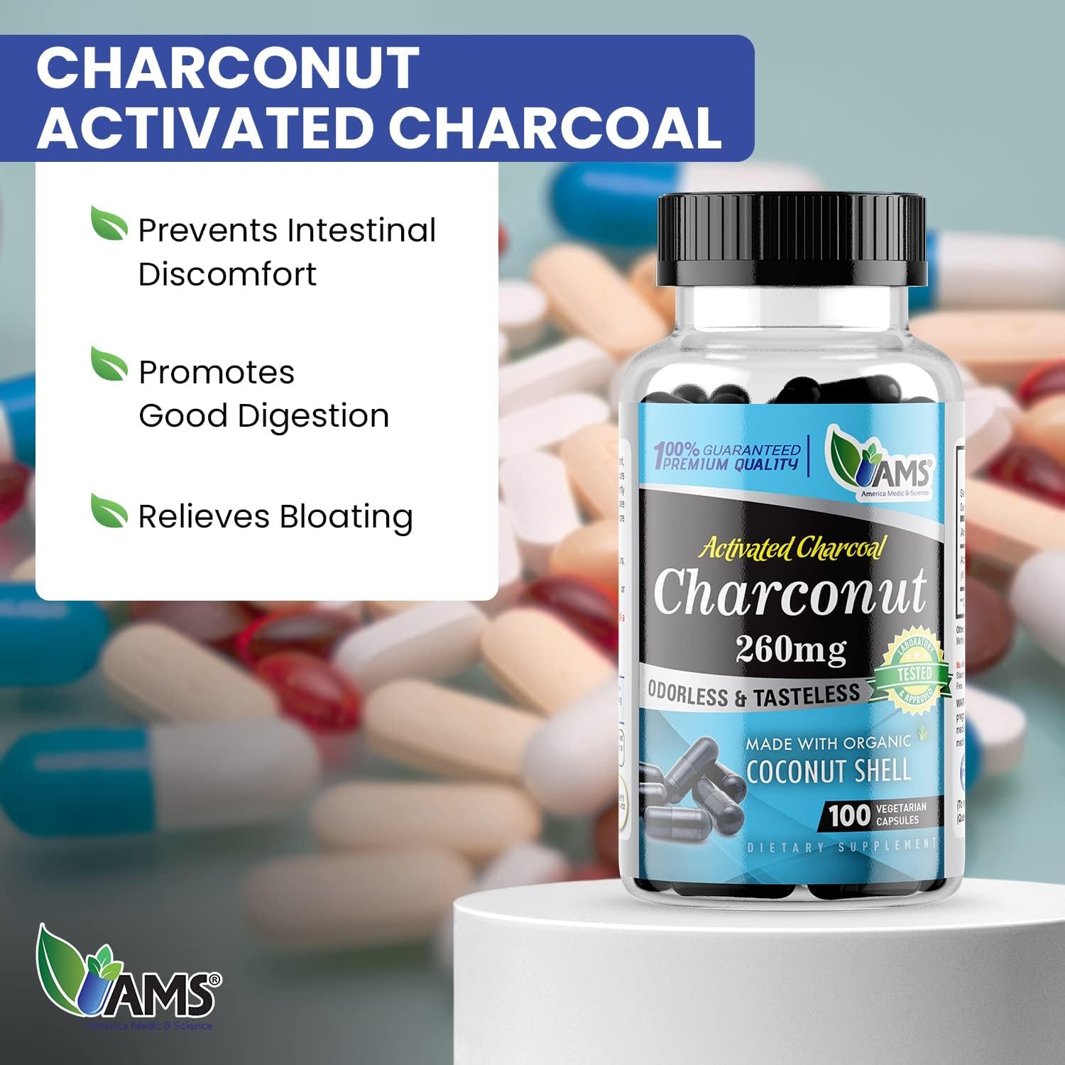 Activated Charcoal Supplement with Coconut Husk for Stomach Health - 200 Capsules