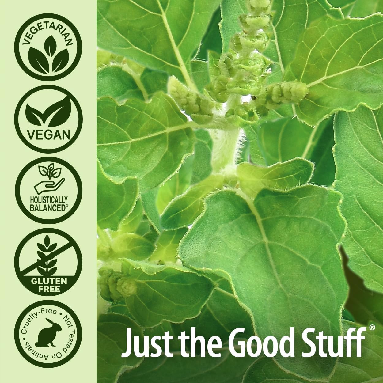 Adrenal Blend Stress Away Vegetarian Capsules - Herbal Dietary Supplement for Vegans, 90 Count