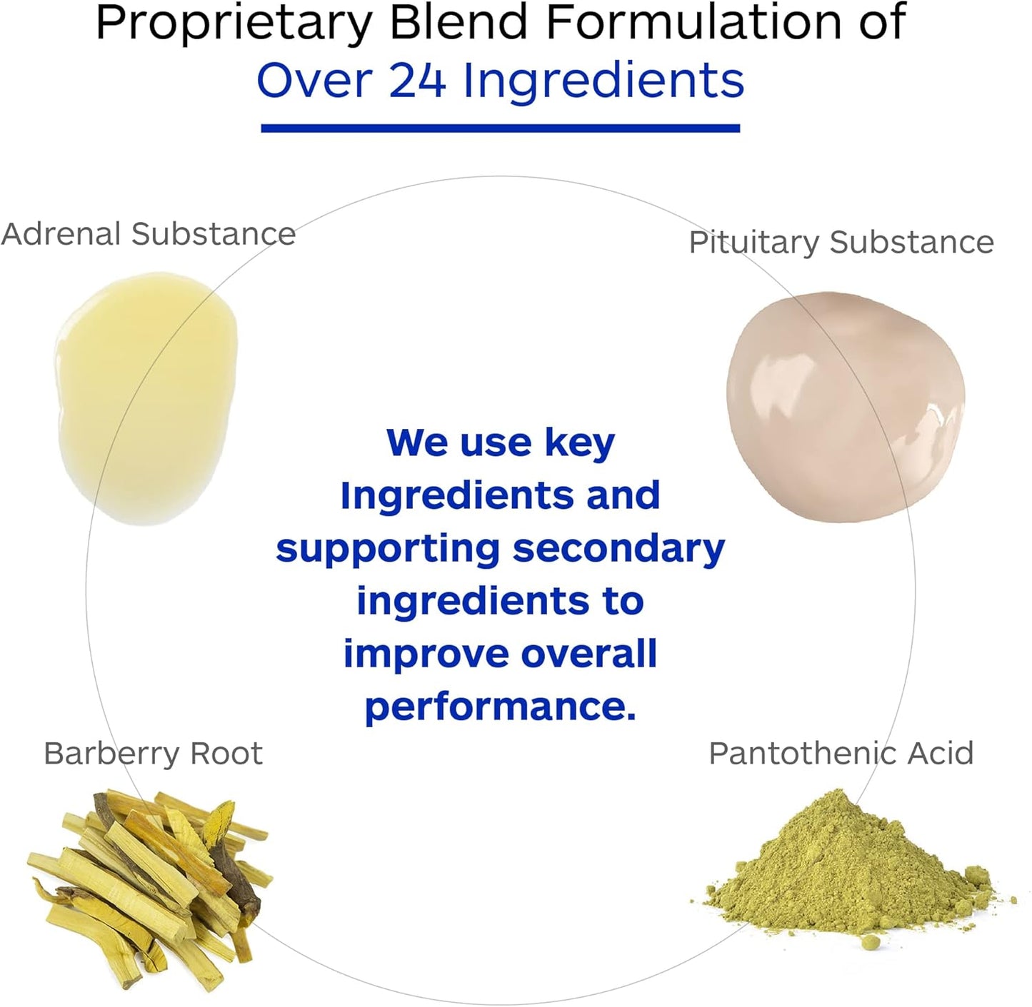Adrenal Complex Supplement for Healthy Adrenal Function, Stress Relief, Energy - 90 Vegetarian Capsules by Professional Botanicals