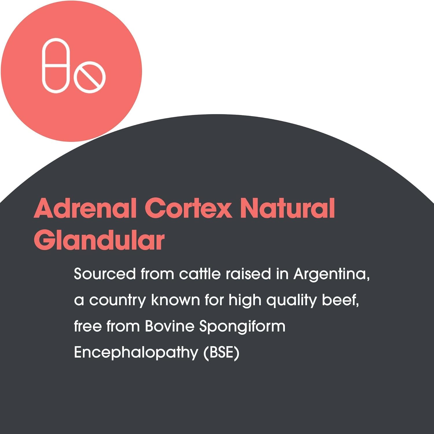 Adrenal Cortex Support Capsules - 100mg Adrenal Extract, Bovine Glandular Supplement for Immune Function - 100 Count