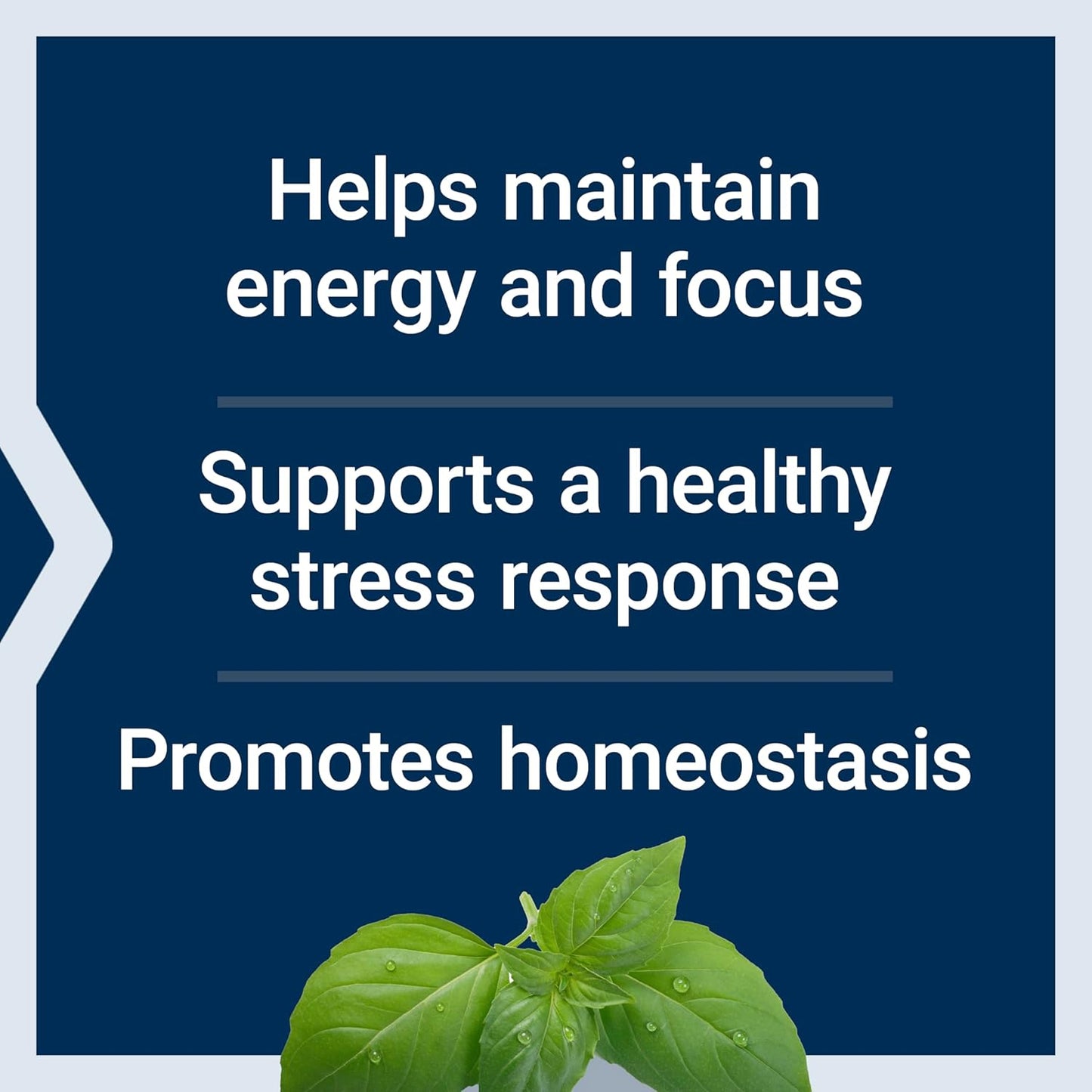 Adrenal Energy Formula with Holy Basil, Cordyceps, Bacopa, and Ashwagandha - 120 Capsules, Stress Relief, Gluten-Free, Non-GMO, Vegetarian